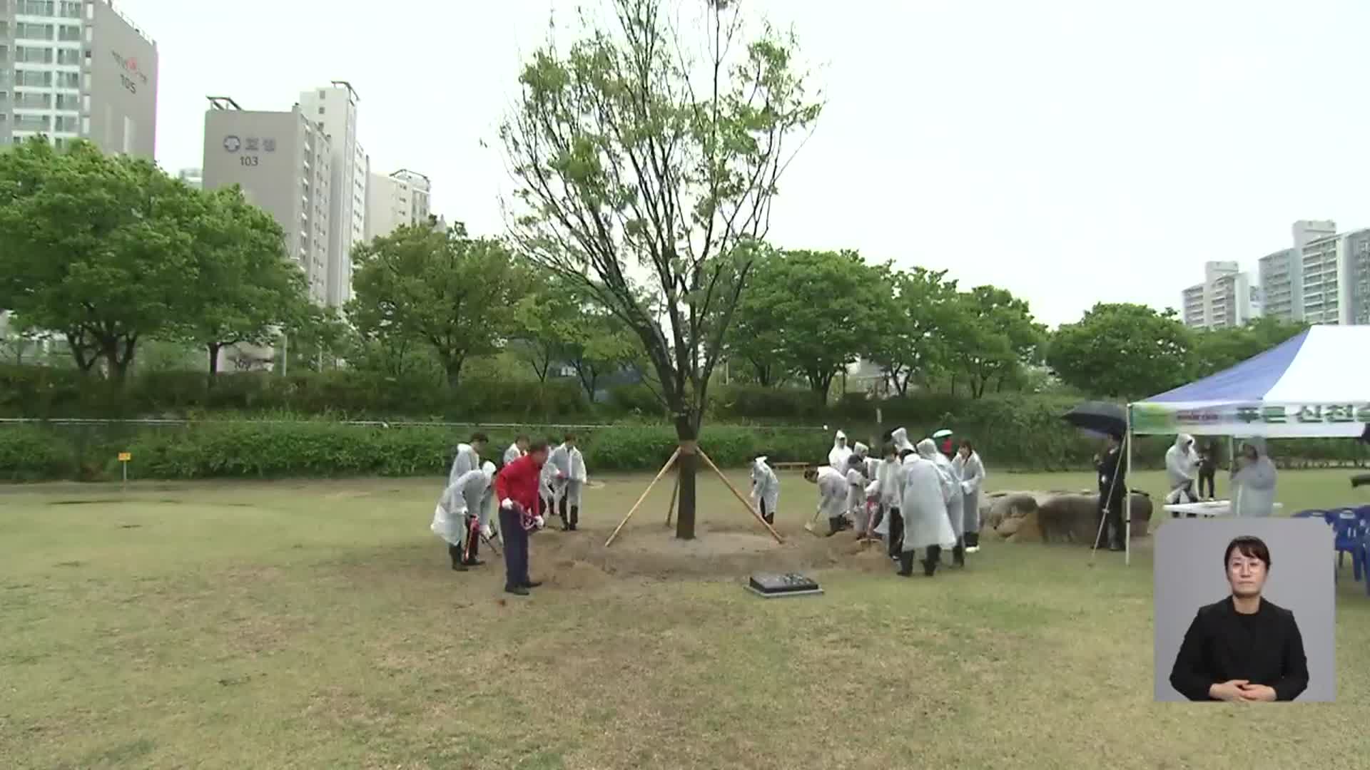 개발지서 버려진 나무, 도심 하천에 심어 ‘새활용’