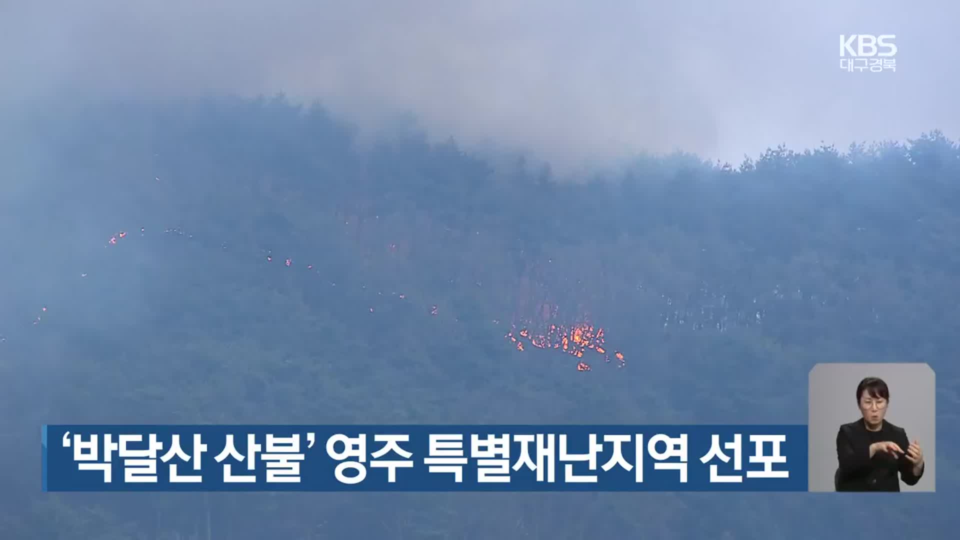 ‘박달산 산불’ 영주 특별재난지역 선포