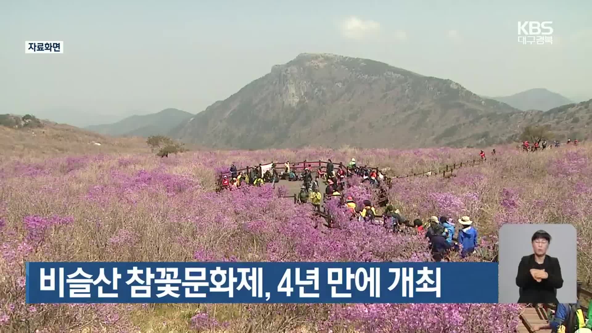 비슬산 참꽃문화제, 4년 만에 개최