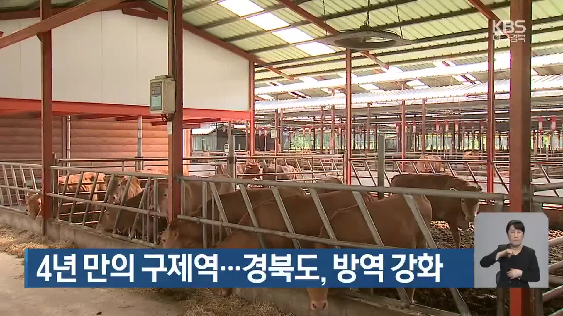 4년 만의 구제역…경북도, 방역 강화