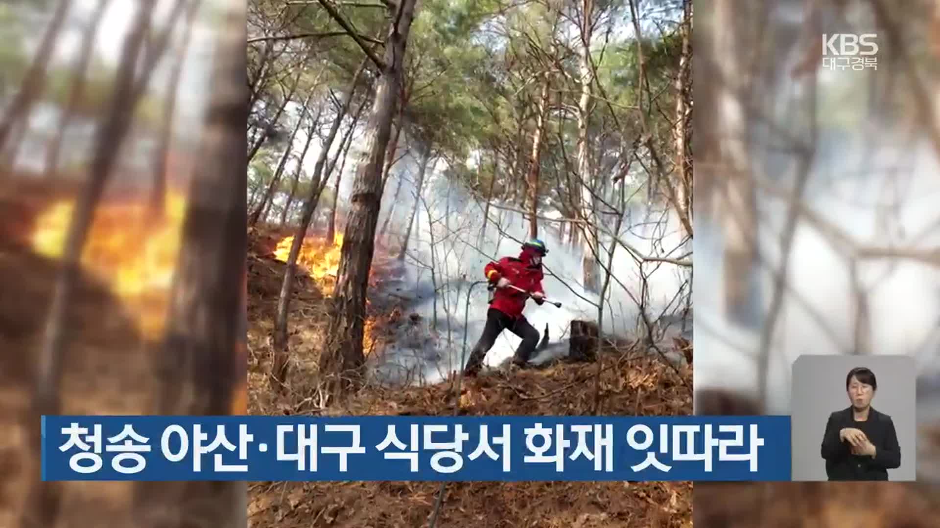 청송 야산·대구 식당서 화재 잇따라