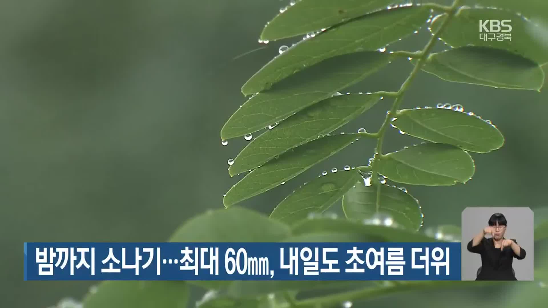 대구·경북 밤까지 소나기…최대 60mm, 내일도 초여름 더위