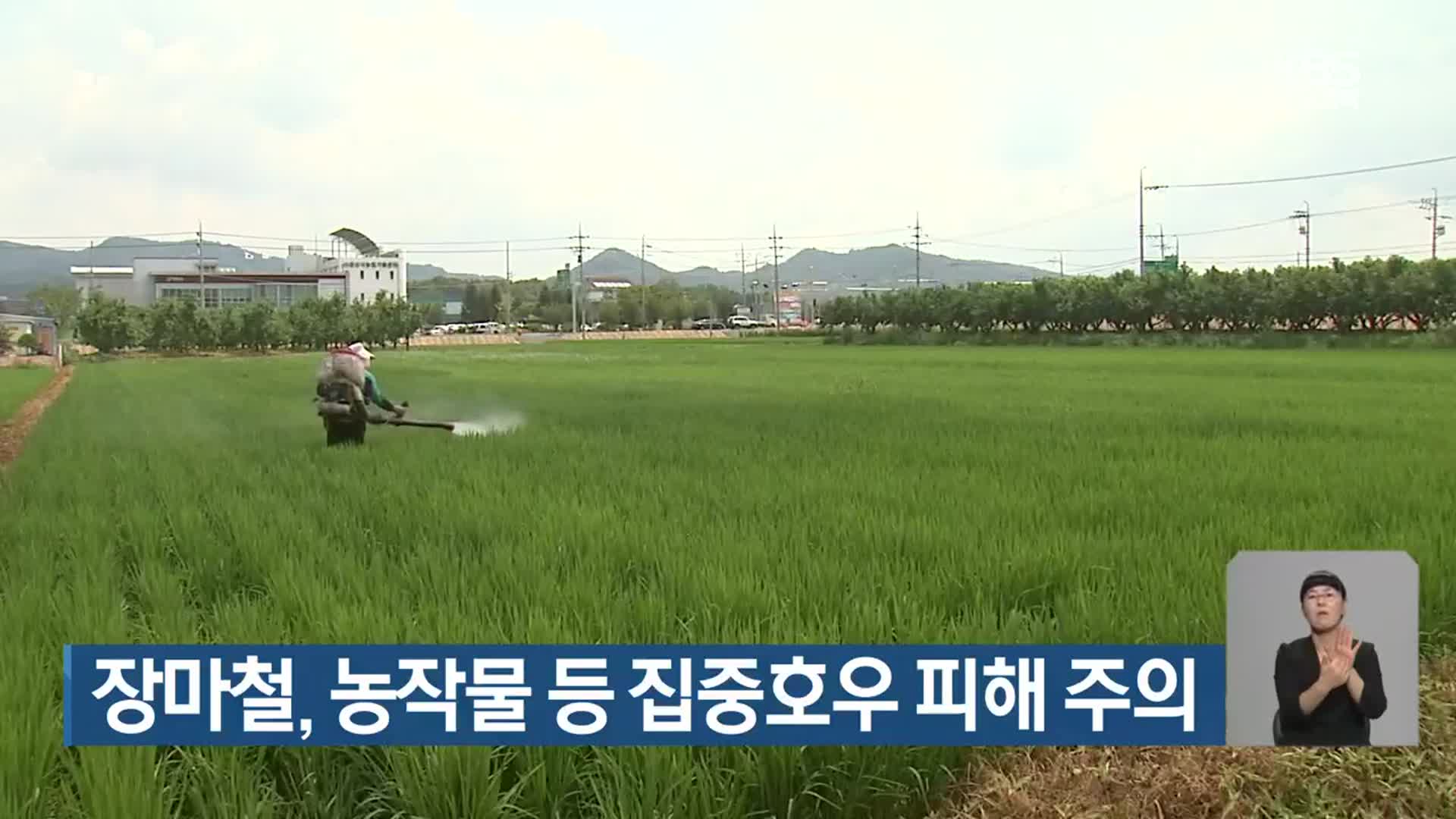 장마철, 농작물 등 집중호우 피해 주의