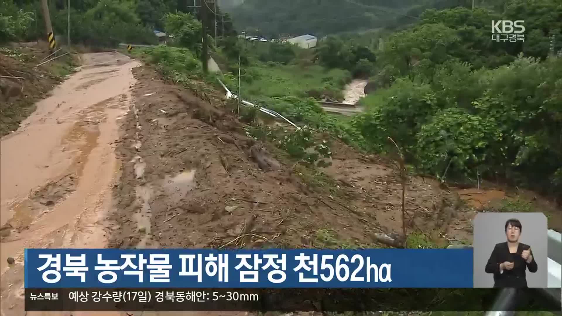 경북 농작물 피해 잠정 1,562㏊