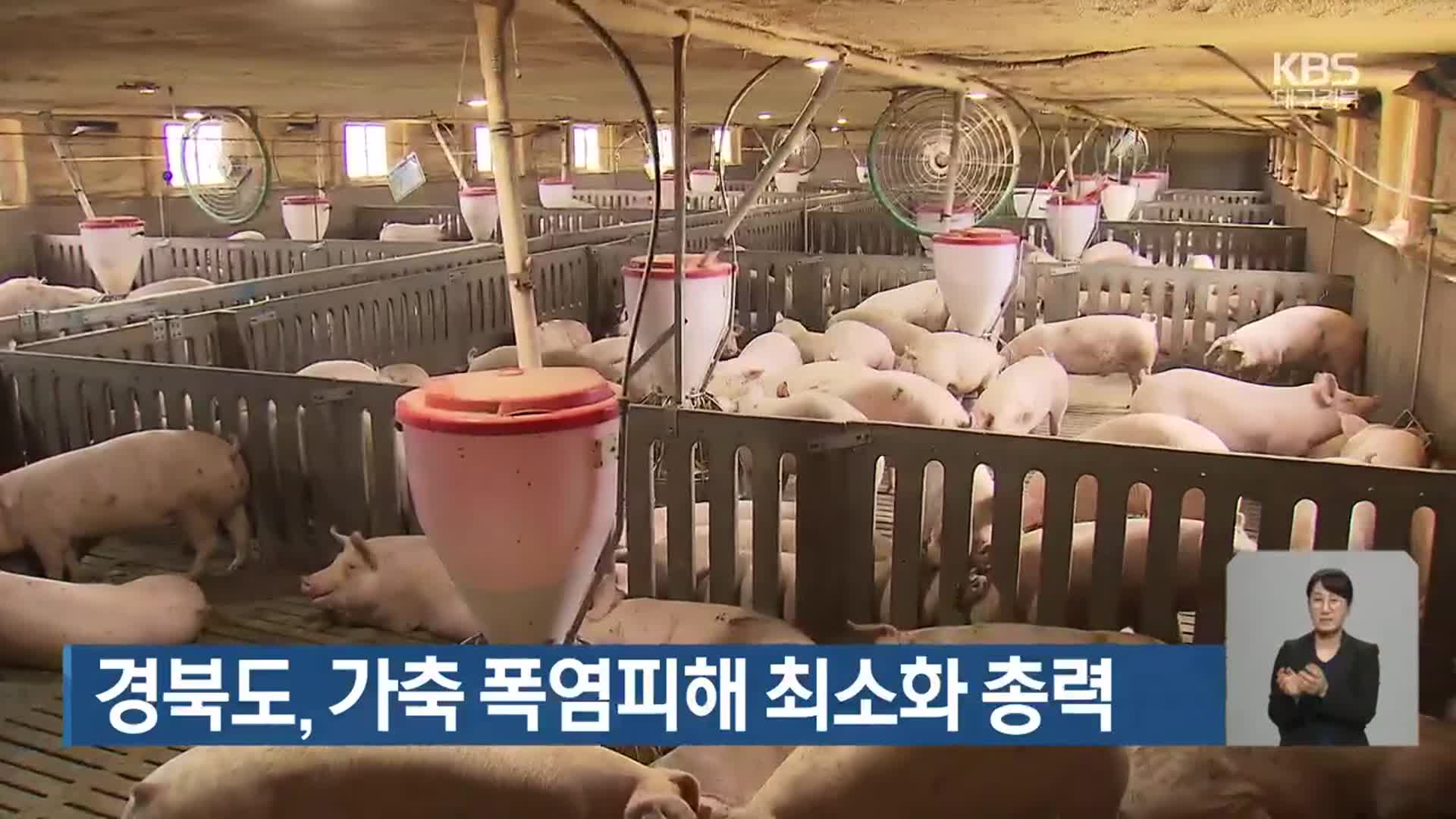 경북도, 가축 폭염피해 최소화 총력