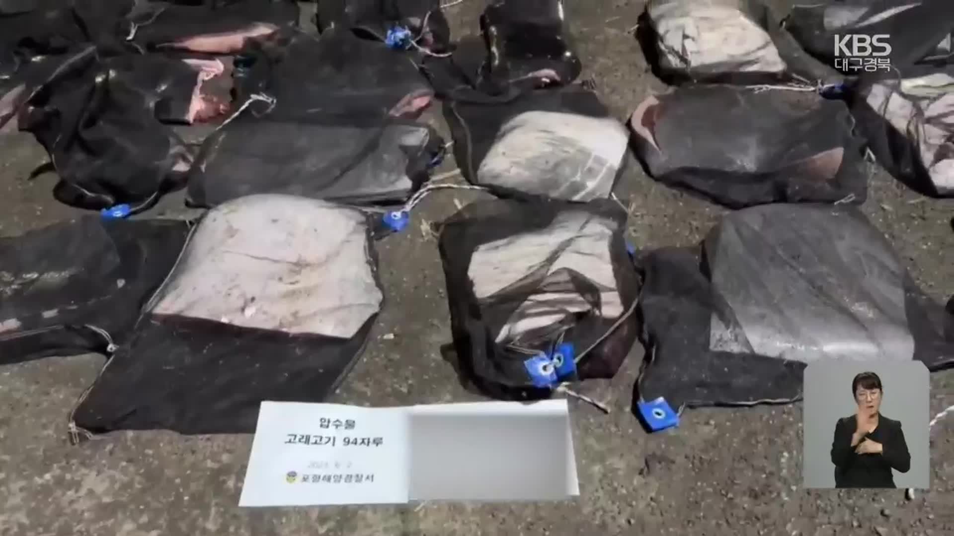 “해체 뒤 수중 은닉 유통”…고래 불법 포획 55명 검거