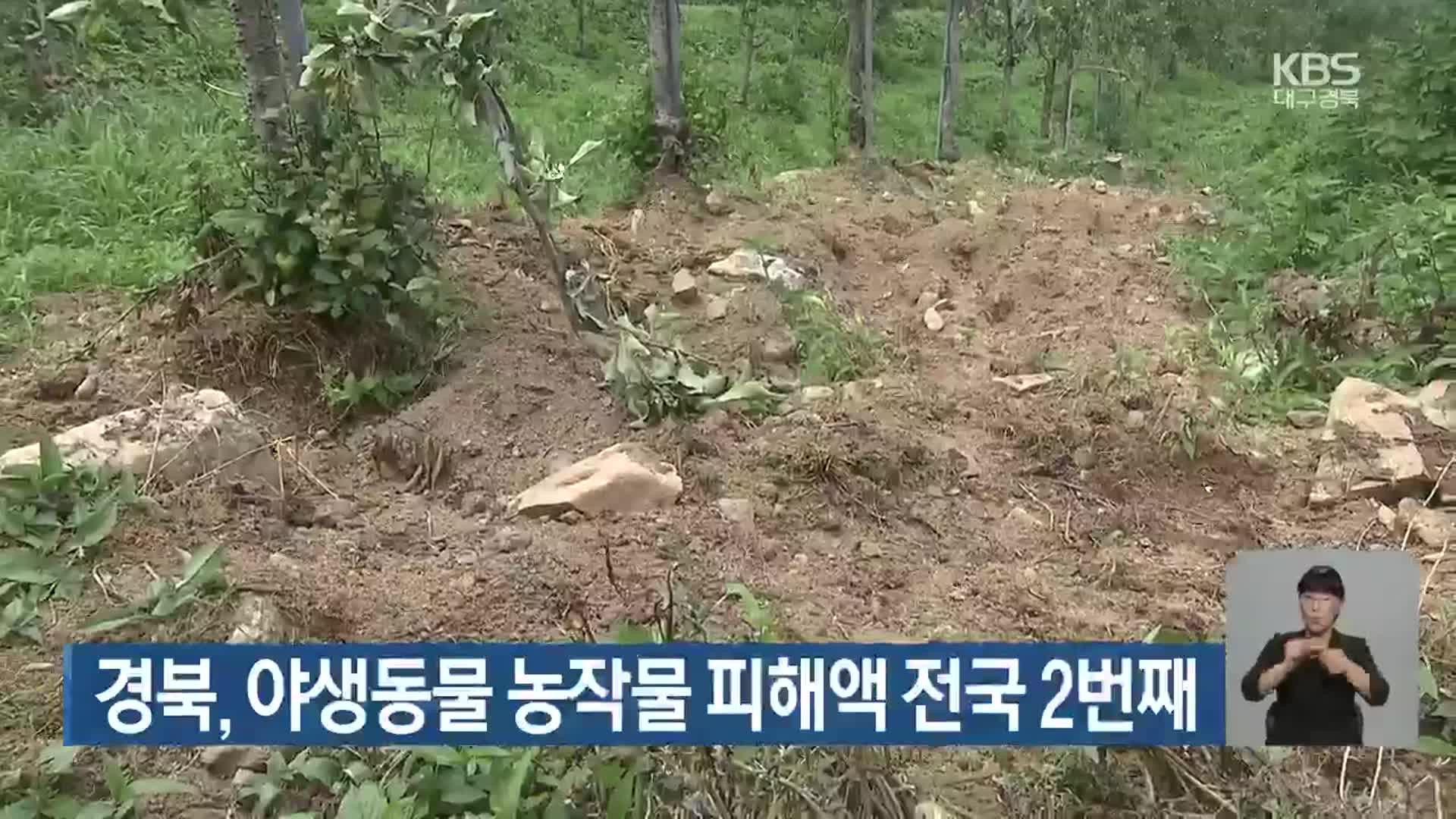 경북, 야생동물 농작물 피해액 전국 2번째