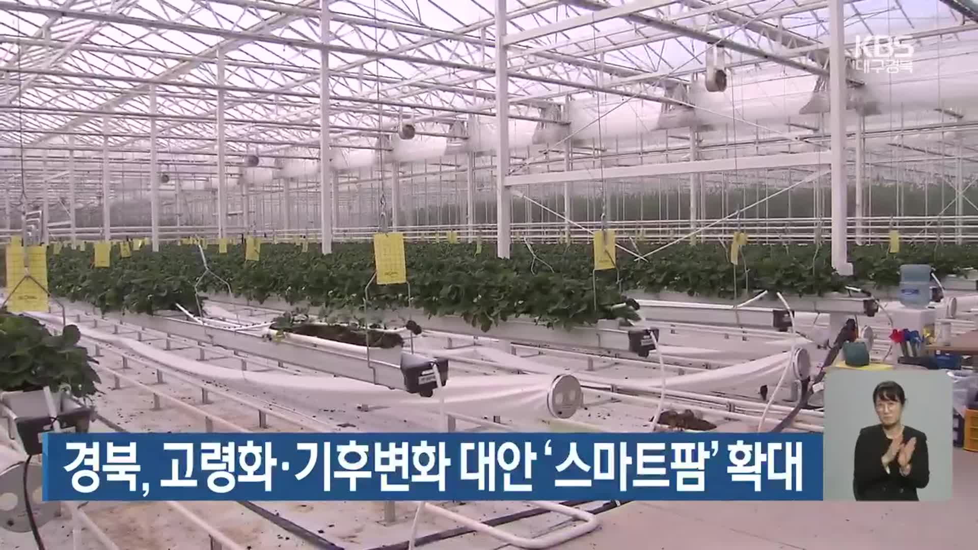 경북, 고령화·기후변화 대안 ‘스마트팜’ 확대