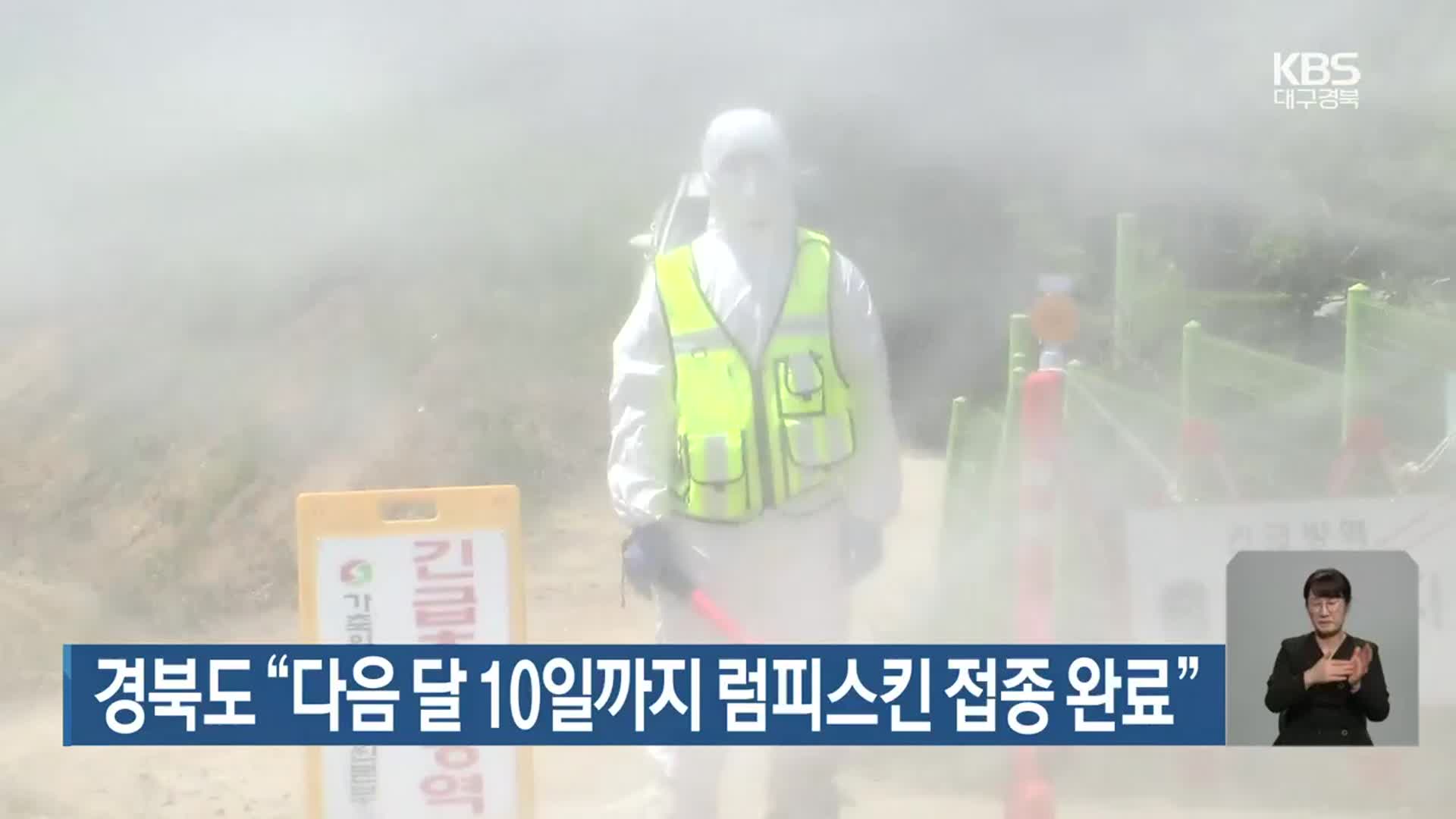 경북도 “다음 달 10일까지 럼피스킨 접종 완료”