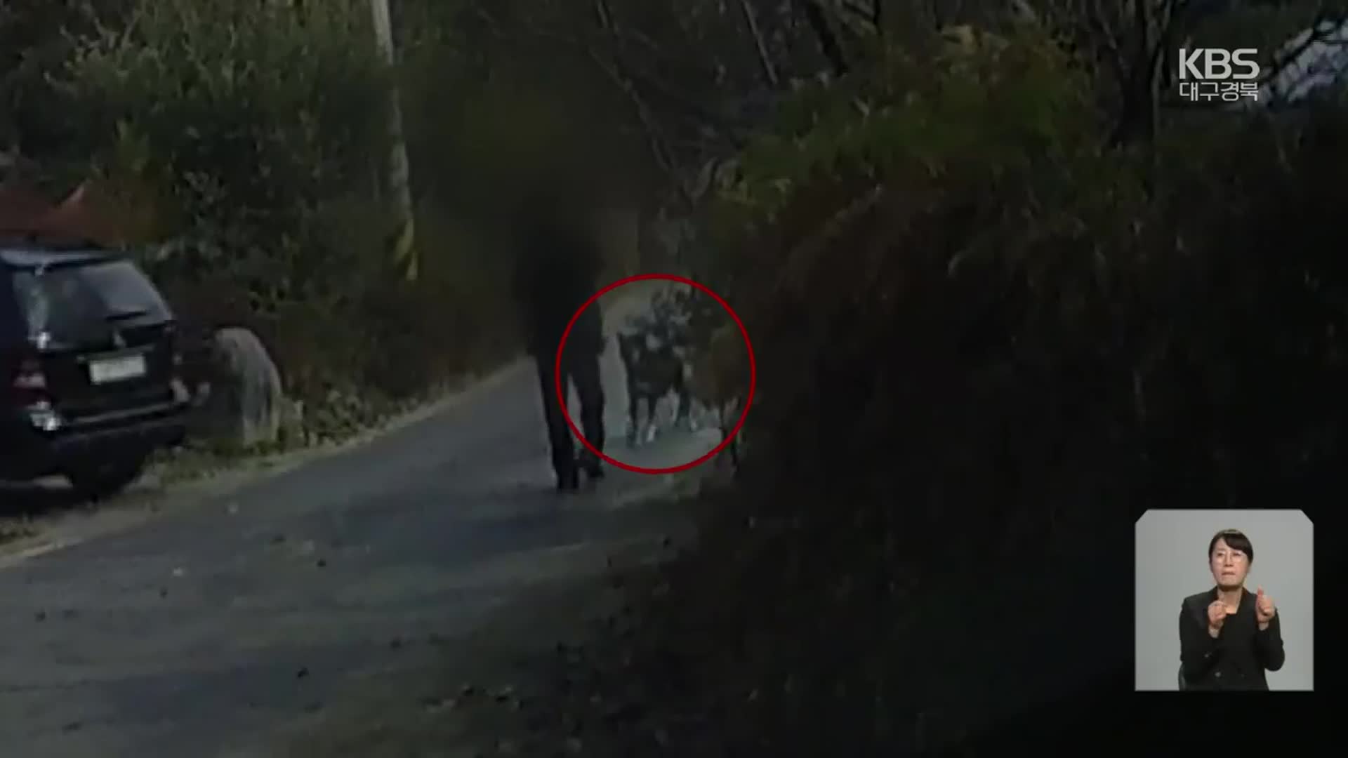 이웃집 개에 물려 손가락 절단…개 물림 사고 연간 2천 건