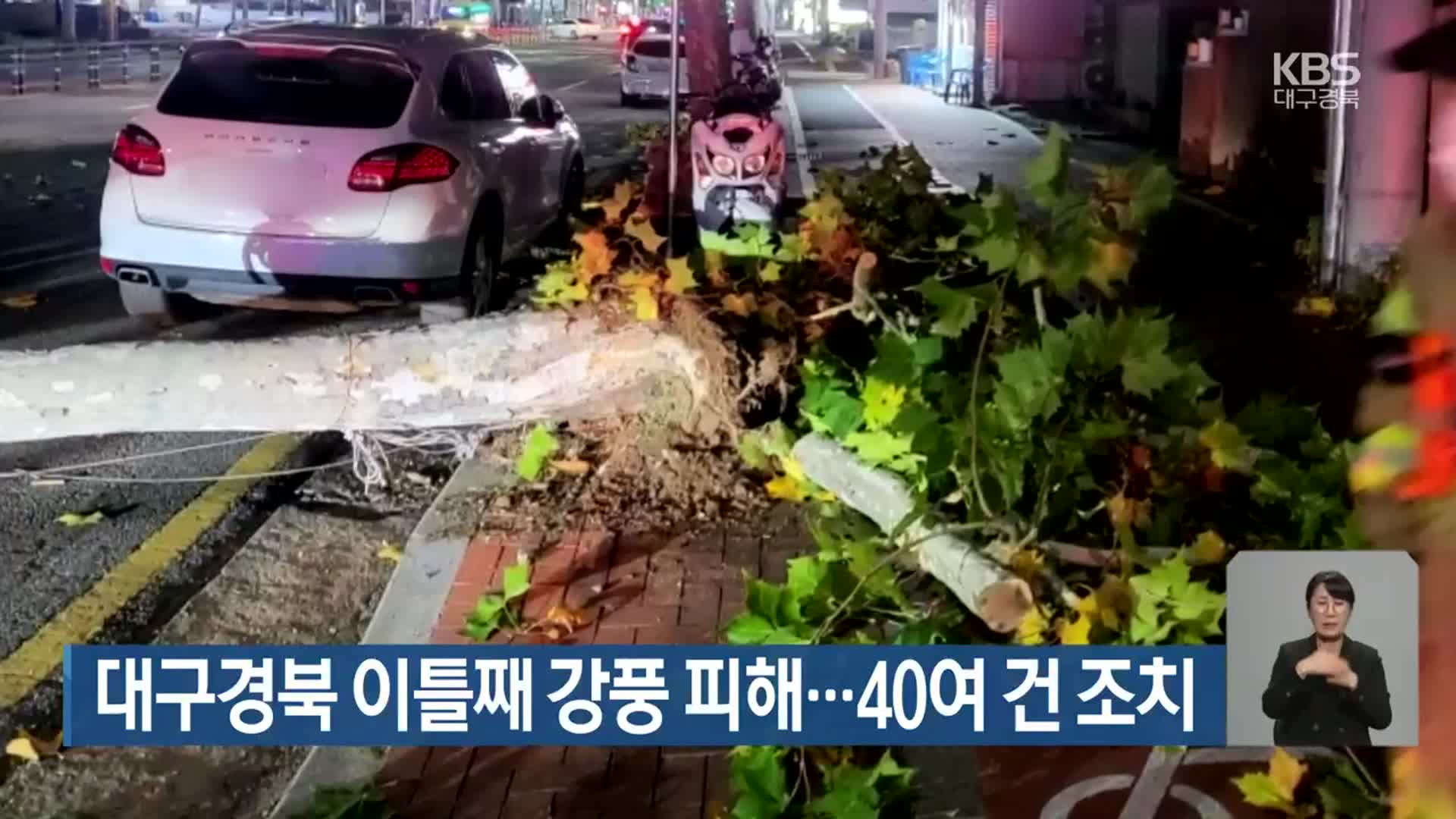 대구·경북 이틀째 강풍 피해…40여 건 조치