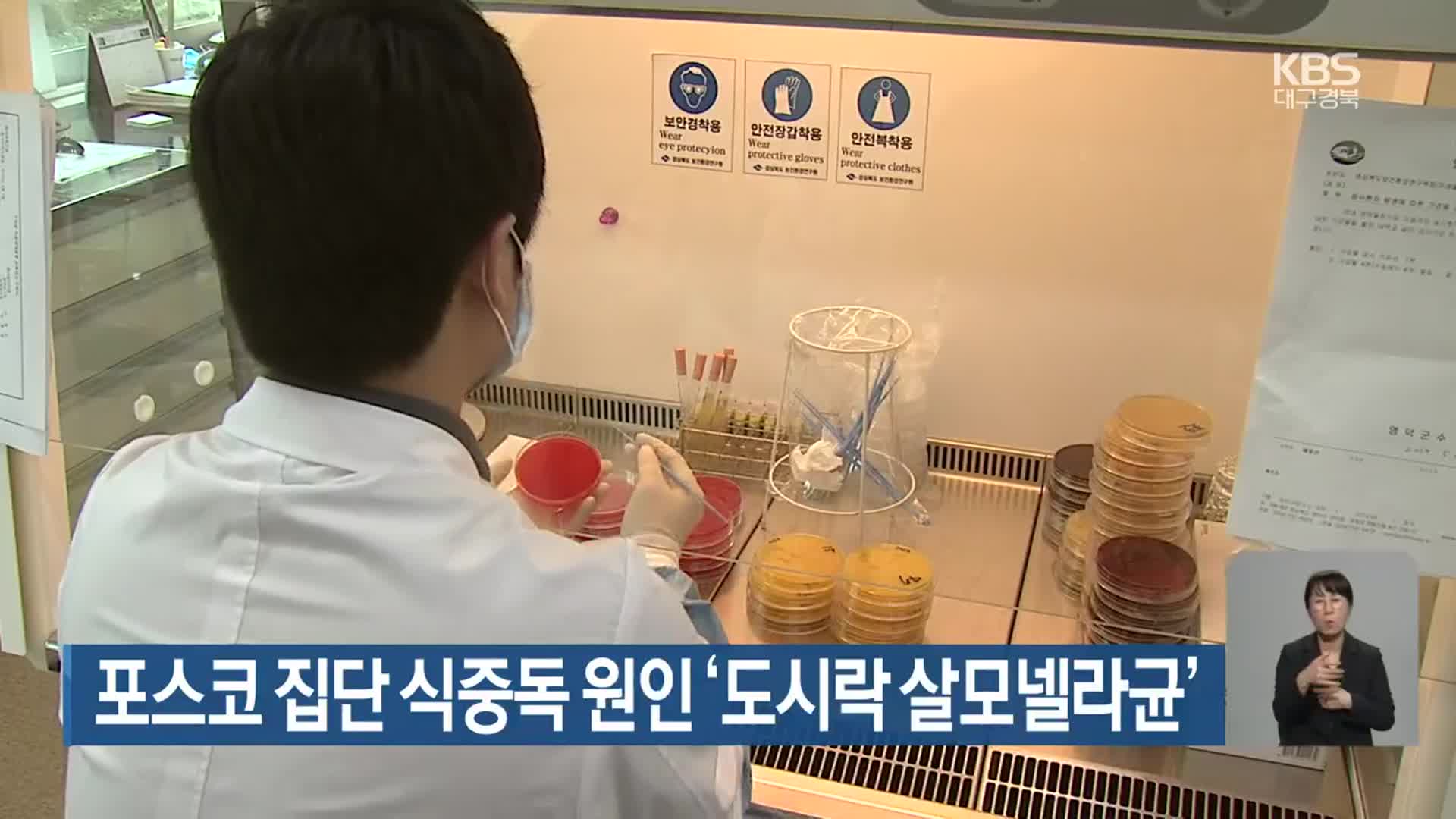 포스코 집단 식중독 원인 ‘도시락 살모넬라균’
