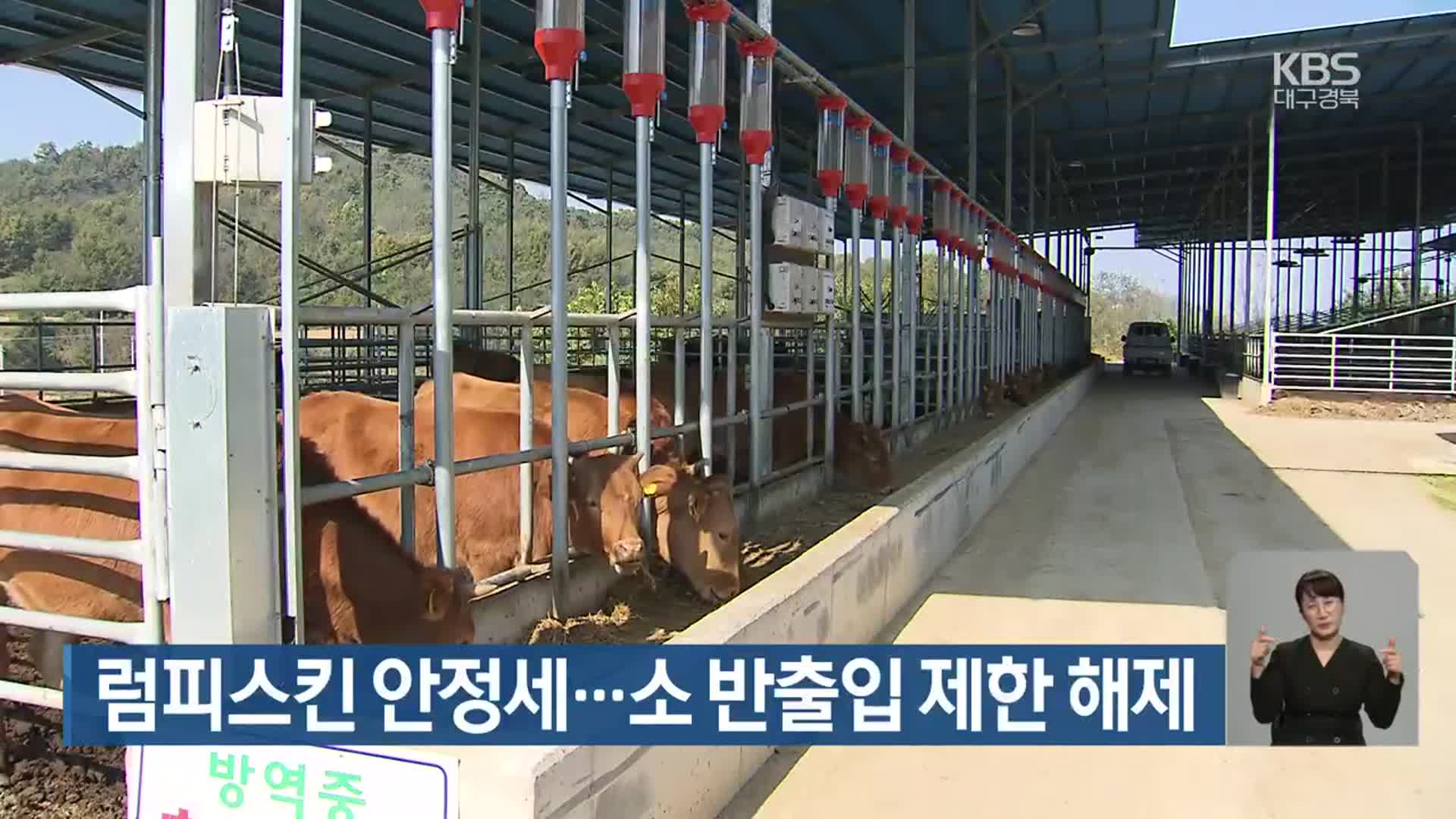 럼피스킨 안정세…소 반출입 제한 해제