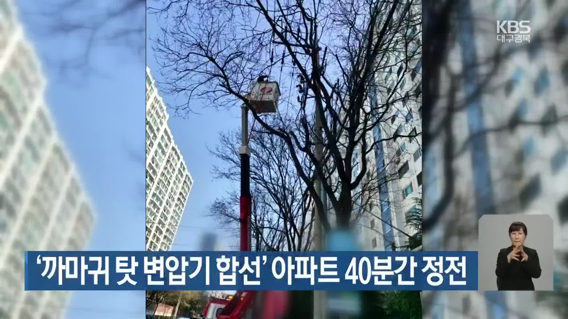 ‘까마귀 탓 변압기 합선’ 아파트 40분간 정전