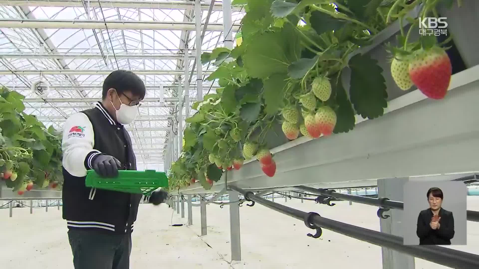 ‘초보 농부 모십니다’…청년농업인 스마트팜 인기