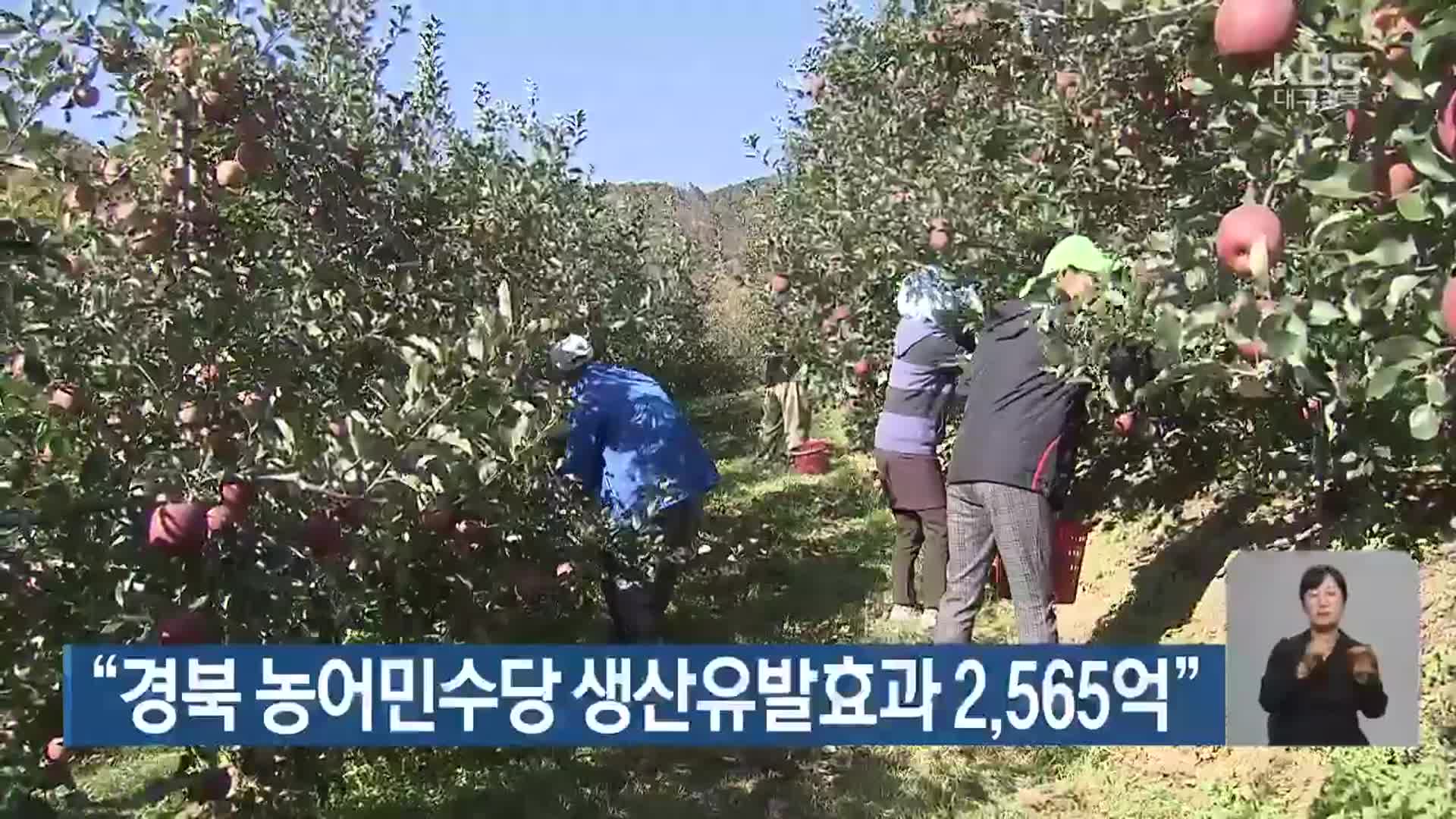 “경북 농어민수당 생산유발효과 2,565억”