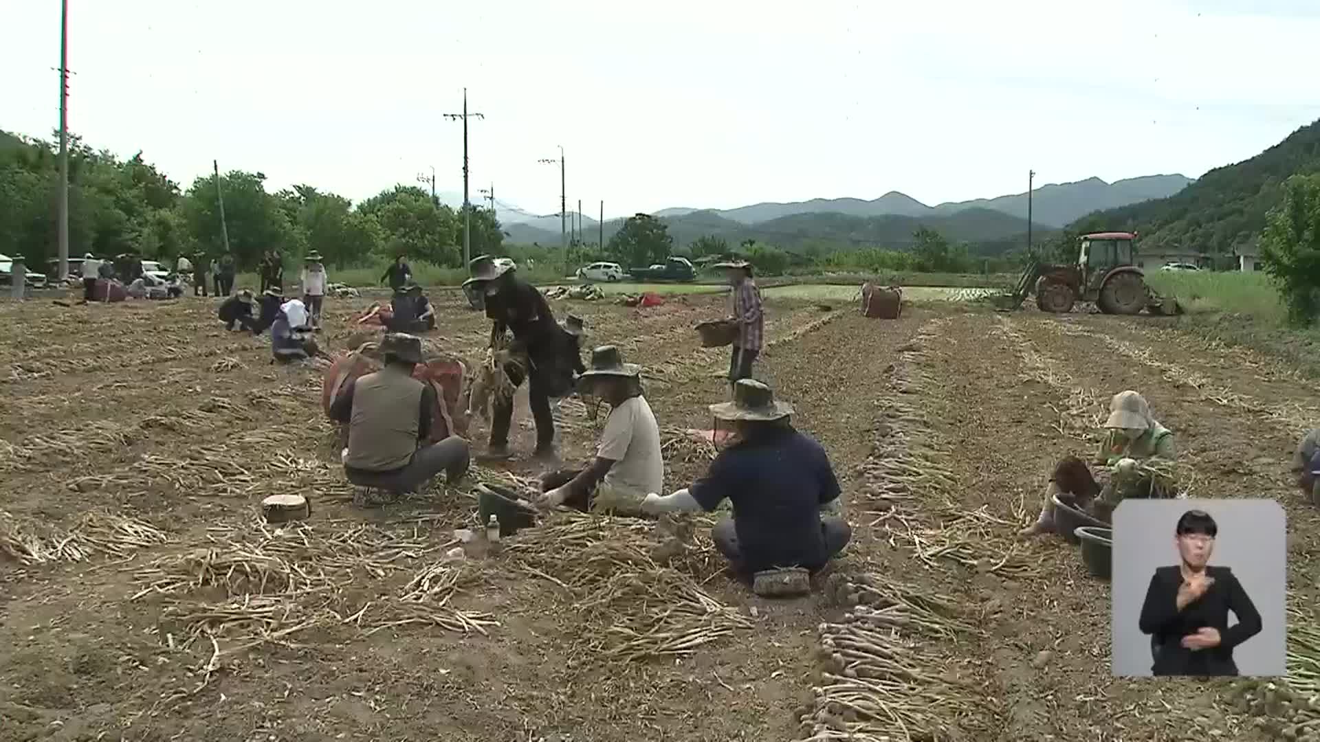 농가·기업 자매결연…“일손 돕고 화합도 다져요”