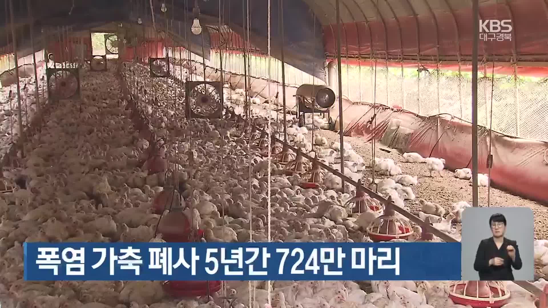 폭염 가축 폐사 5년간 724만 마리