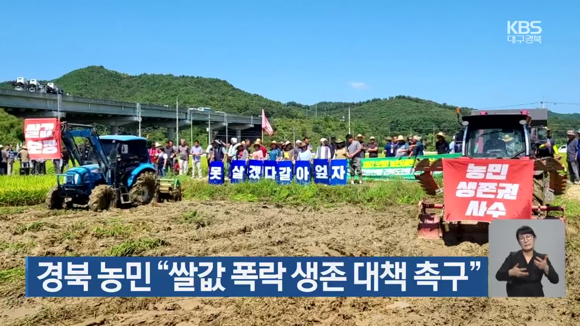 경북 농민 “쌀값 폭락 생존 대책 촉구”