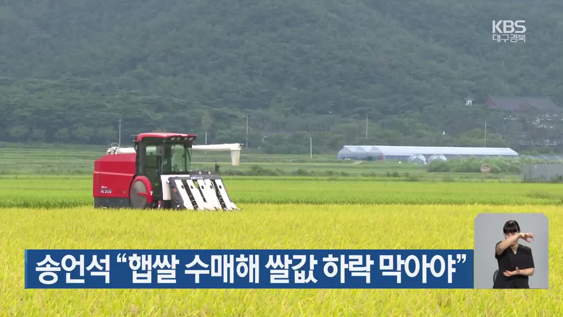 송언석 “햅쌀 수매해 쌀값 하락 막아야”