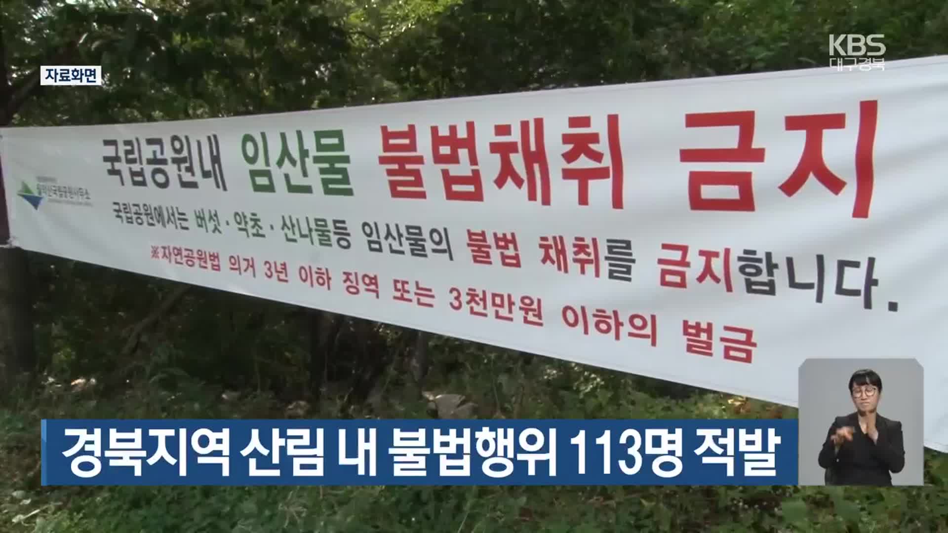 경북지역 산림 내 불법행위 113명 적발