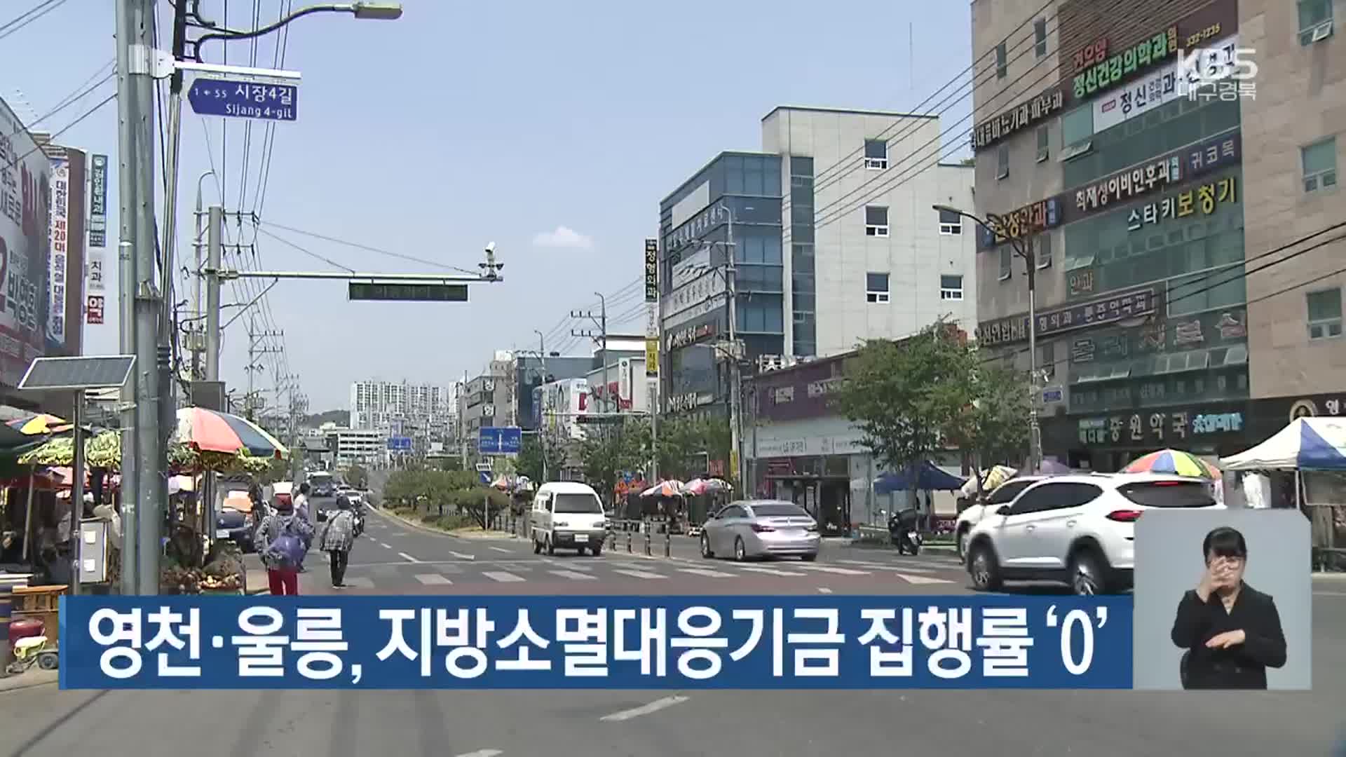 영천·울릉, 지방소멸대응기금 집행률 ‘0’