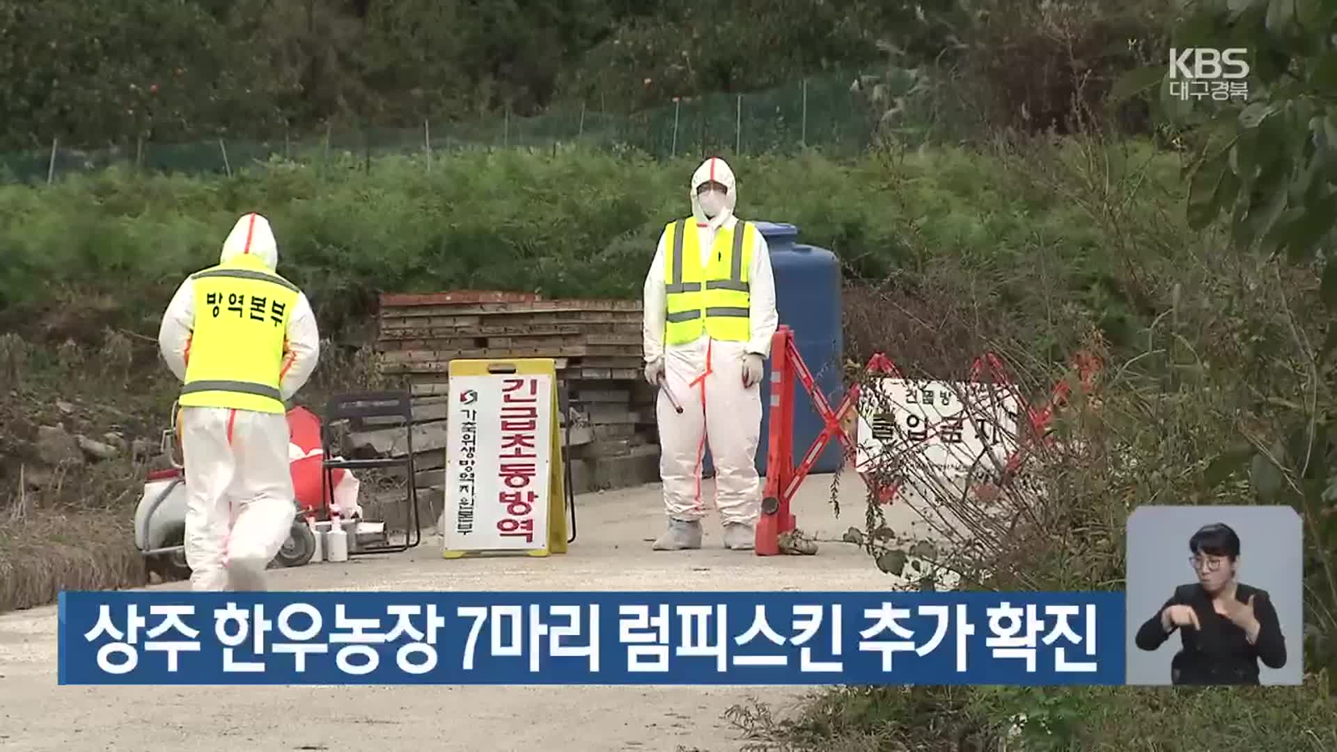 상주 한우농장 7마리 럼피스킨 추가 확진