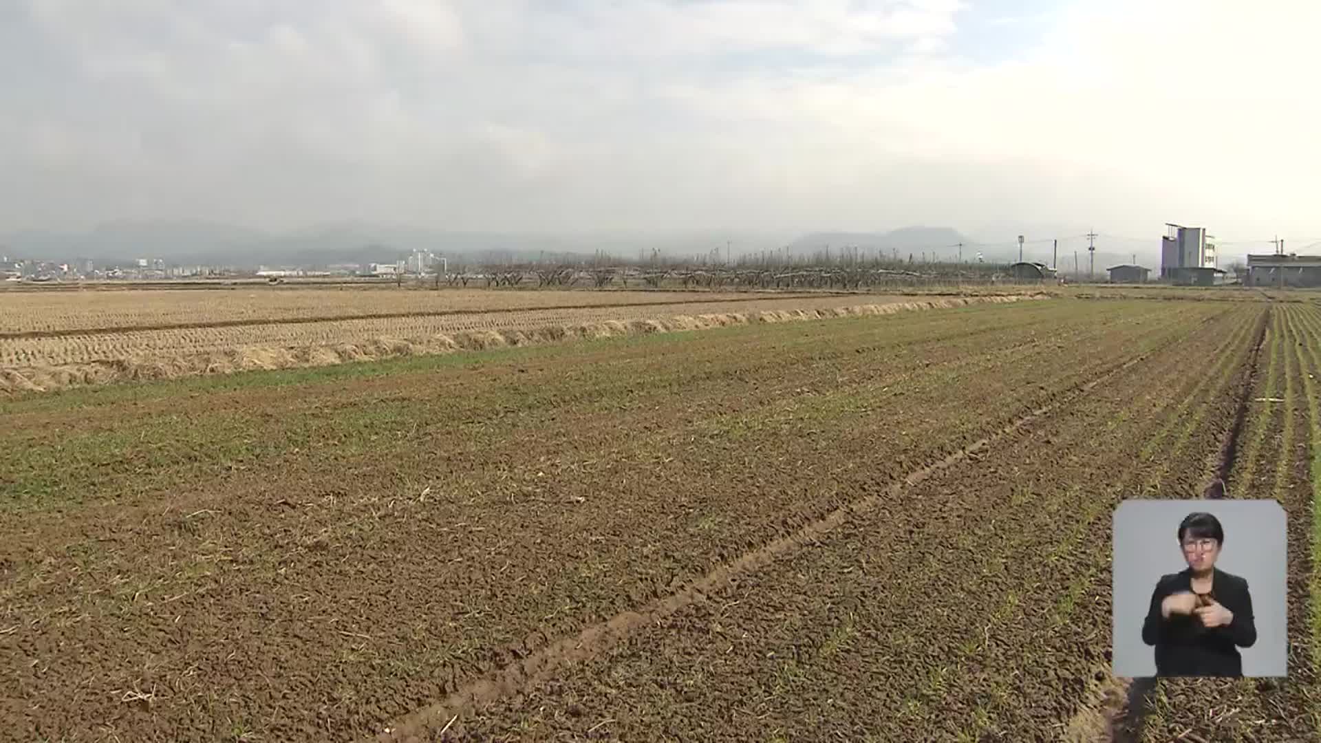정부, 대규모 벼 재배면적 감축 추진…농민 ‘반발’