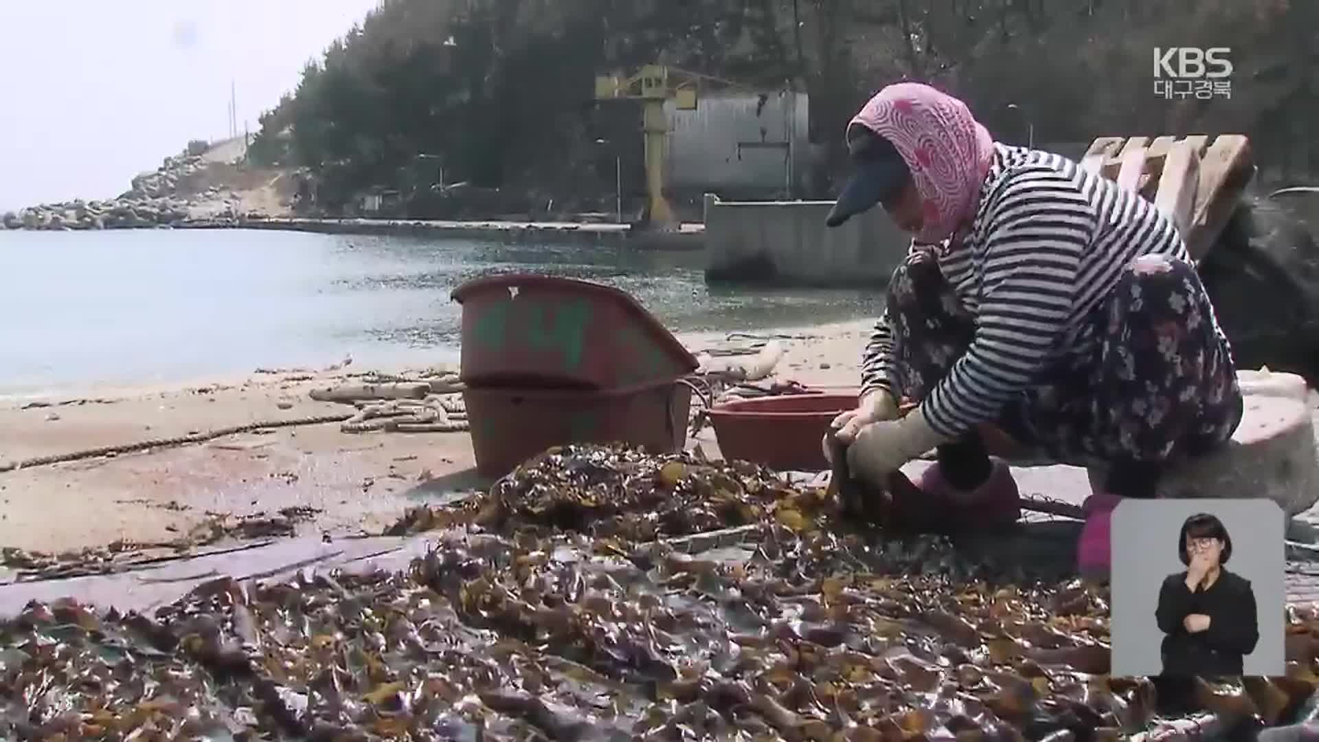 ‘산불 그 후’ 잿더미 속 희망 찾는 사람들