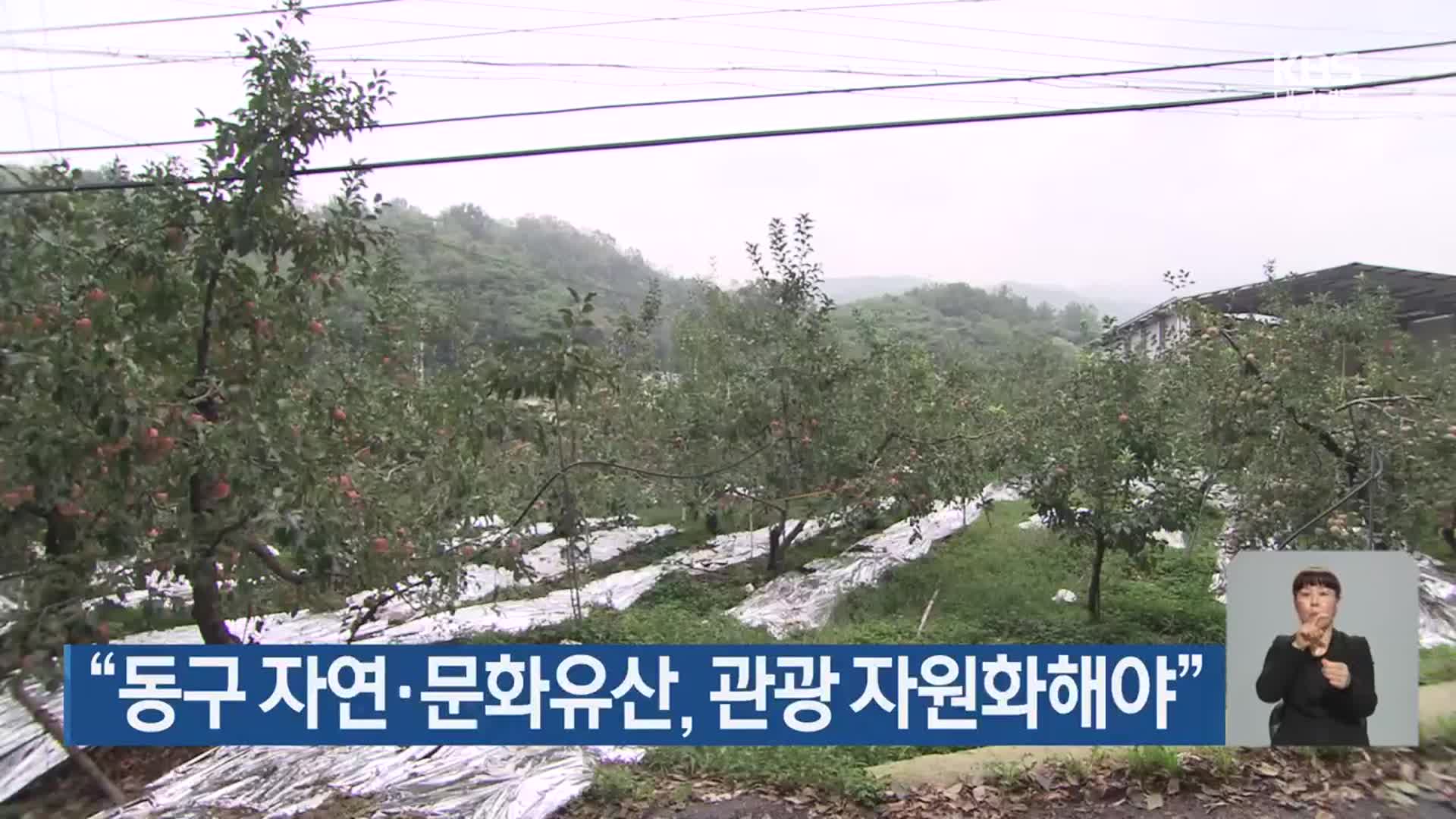 “대구 동구 자연·문화유산, 관광 자원화해야”