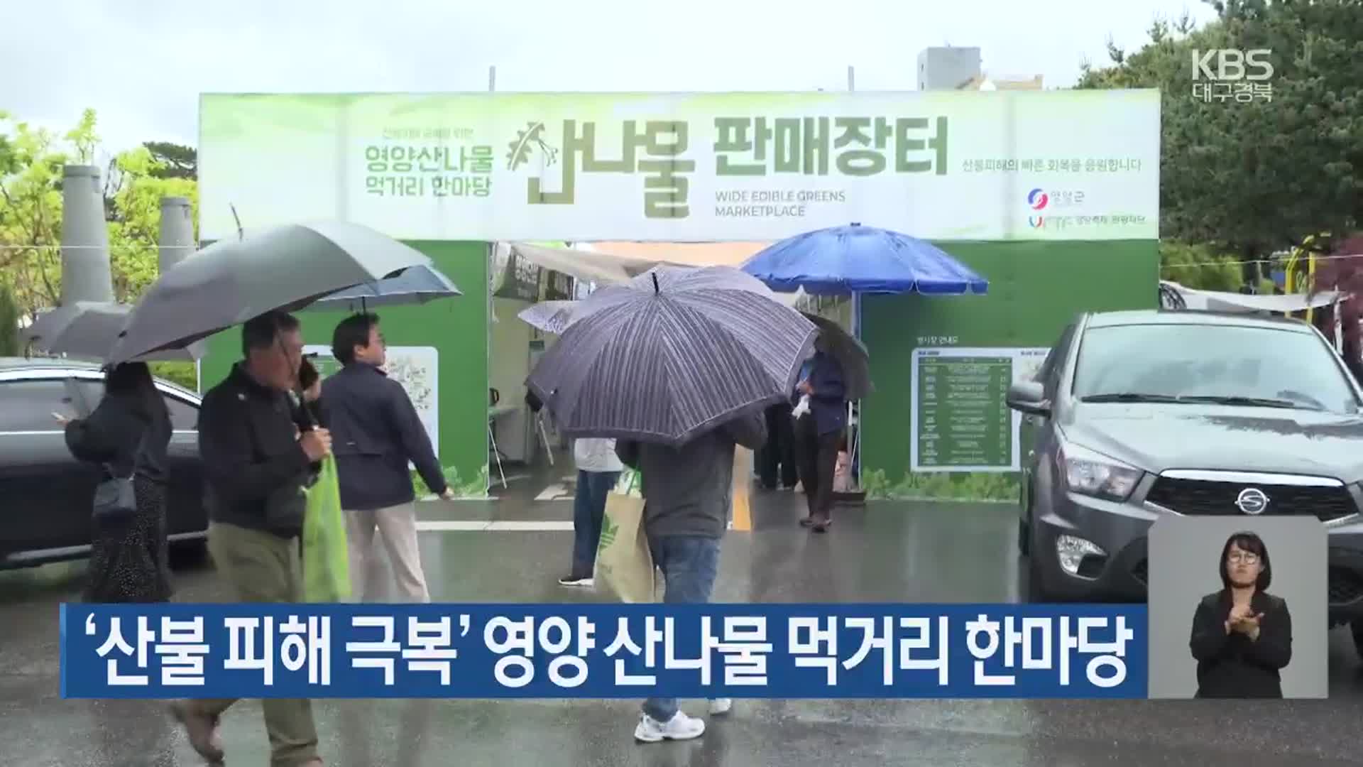 ‘산불 피해 극복’ 영양 산나물 먹거리 한마당