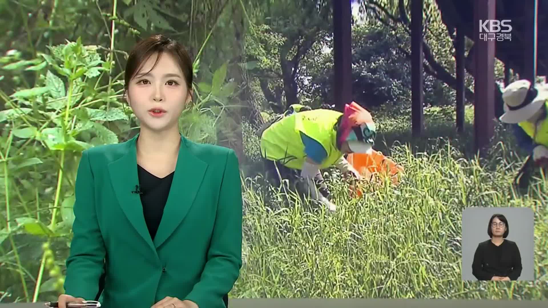 [뉴스9 대구·경북 오프닝]