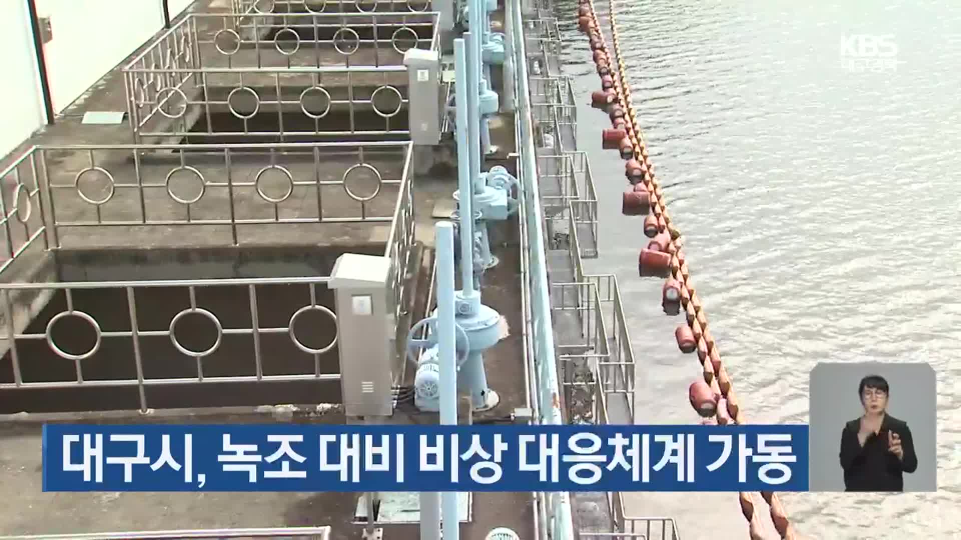 대구시, 녹조 대비 비상 대응체계 가동