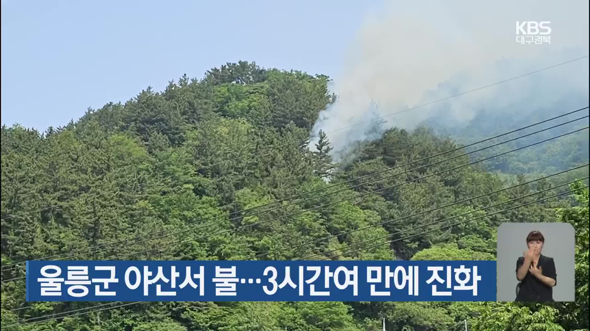 울릉군 야산서 불…3시간여 만에 진화