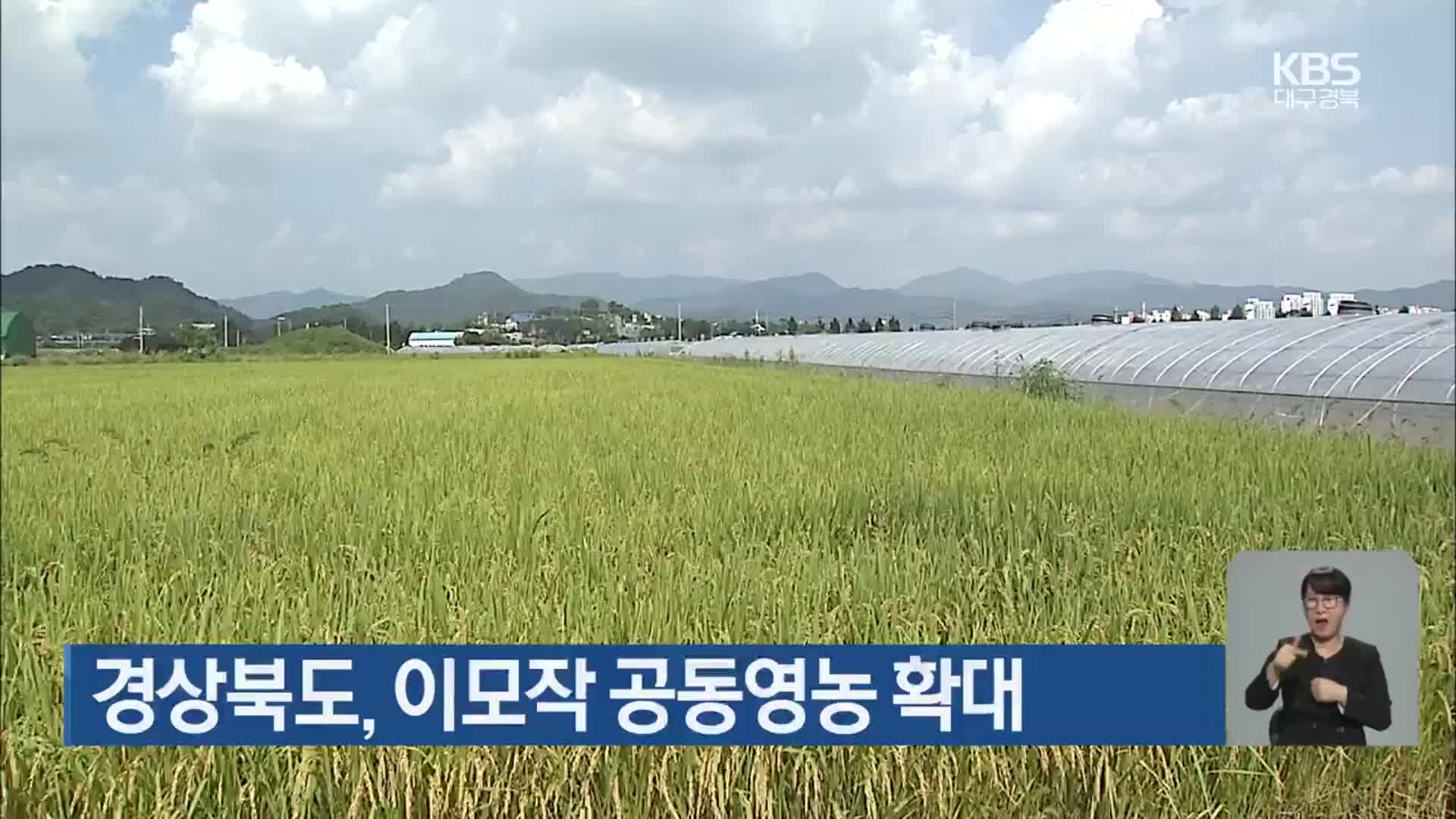 경상북도, 이모작 공동영농 확대
