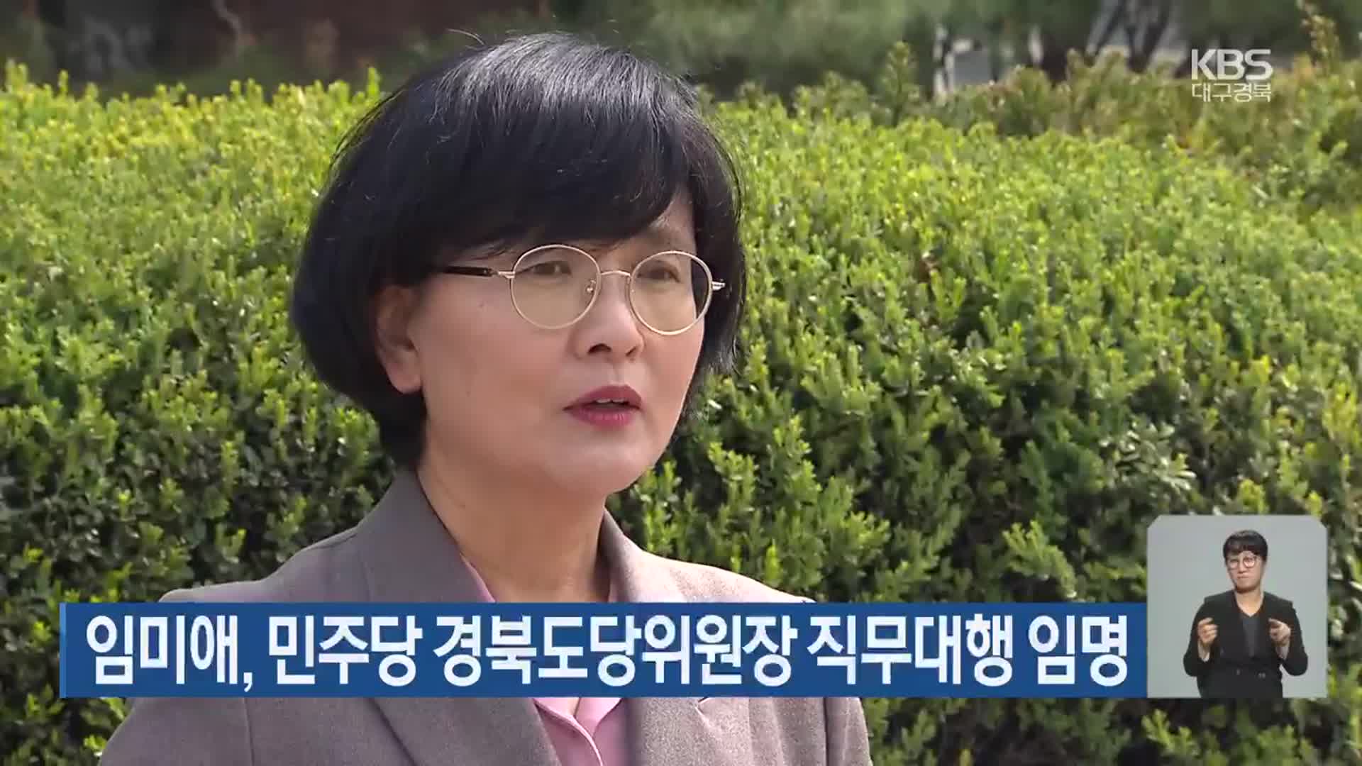 임미애, 민주당 경북도당위원장 직무대행 임명