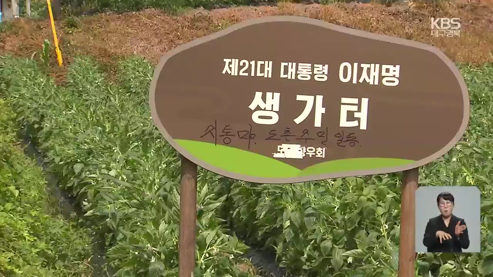 이재명 생가터 연일 북적…안동시 ‘관광지 연계’