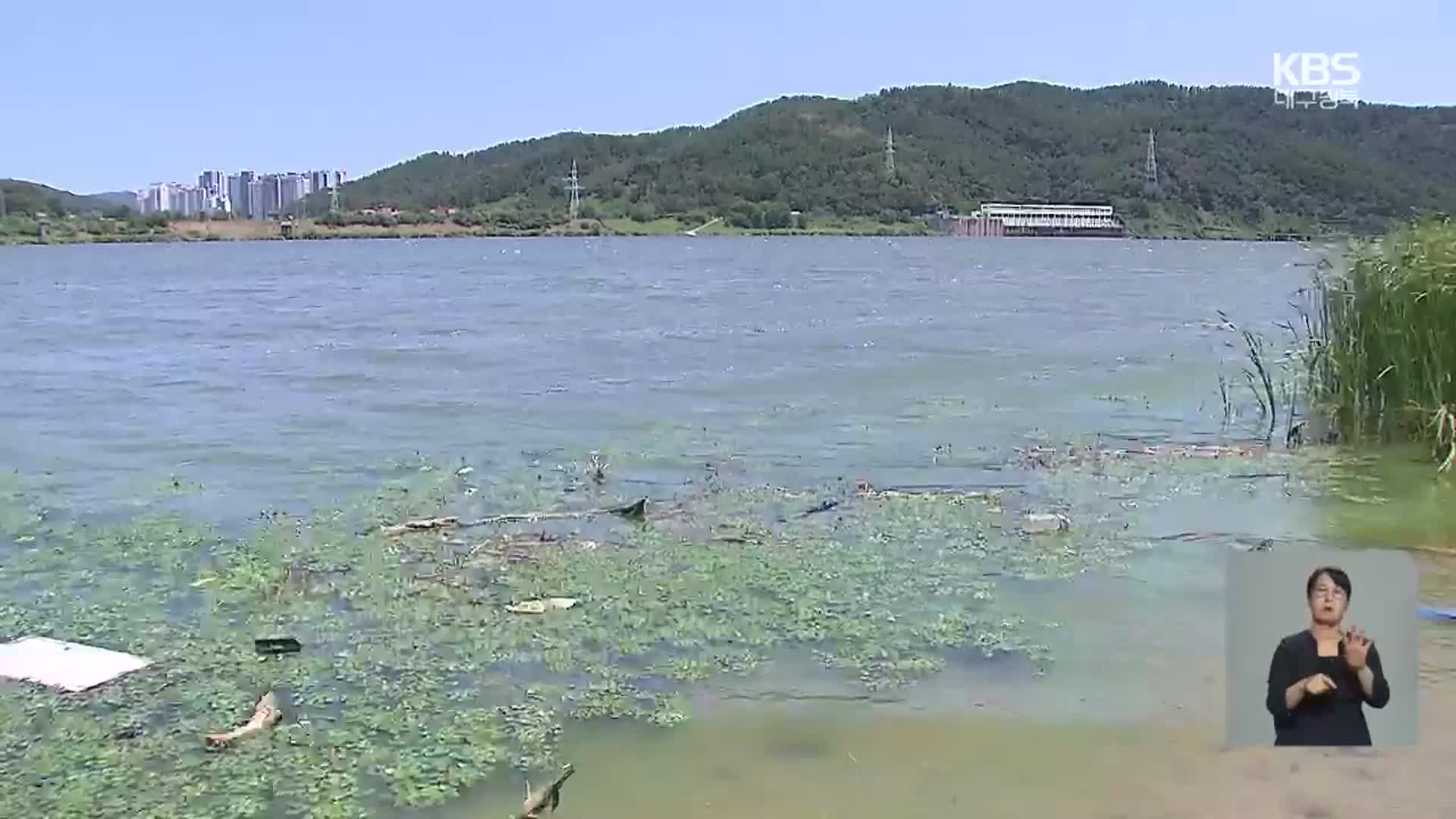낙동강 강정고령에 첫 조류경보…식수 안전 ‘비상’