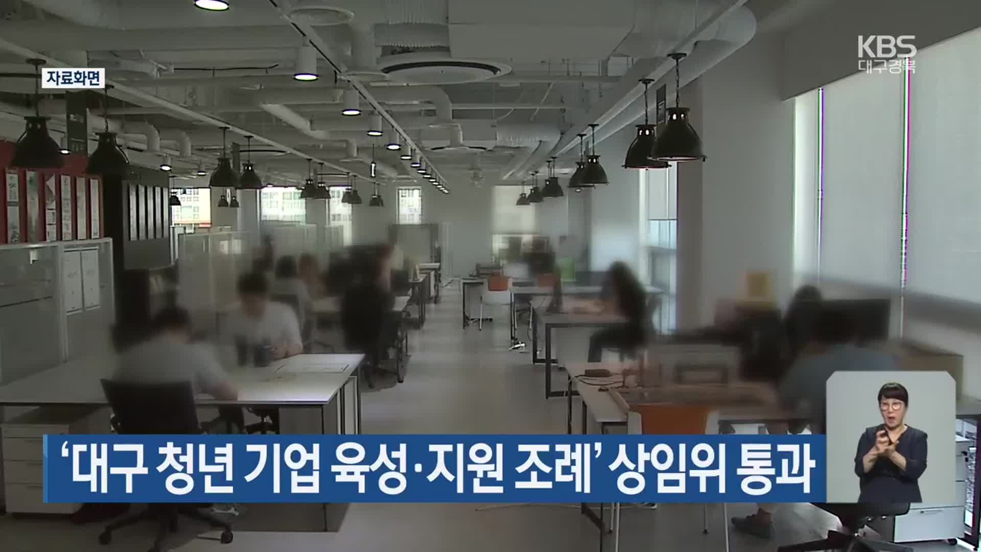 ‘대구 청년 기업 육성·지원 조례’ 상임위 통과