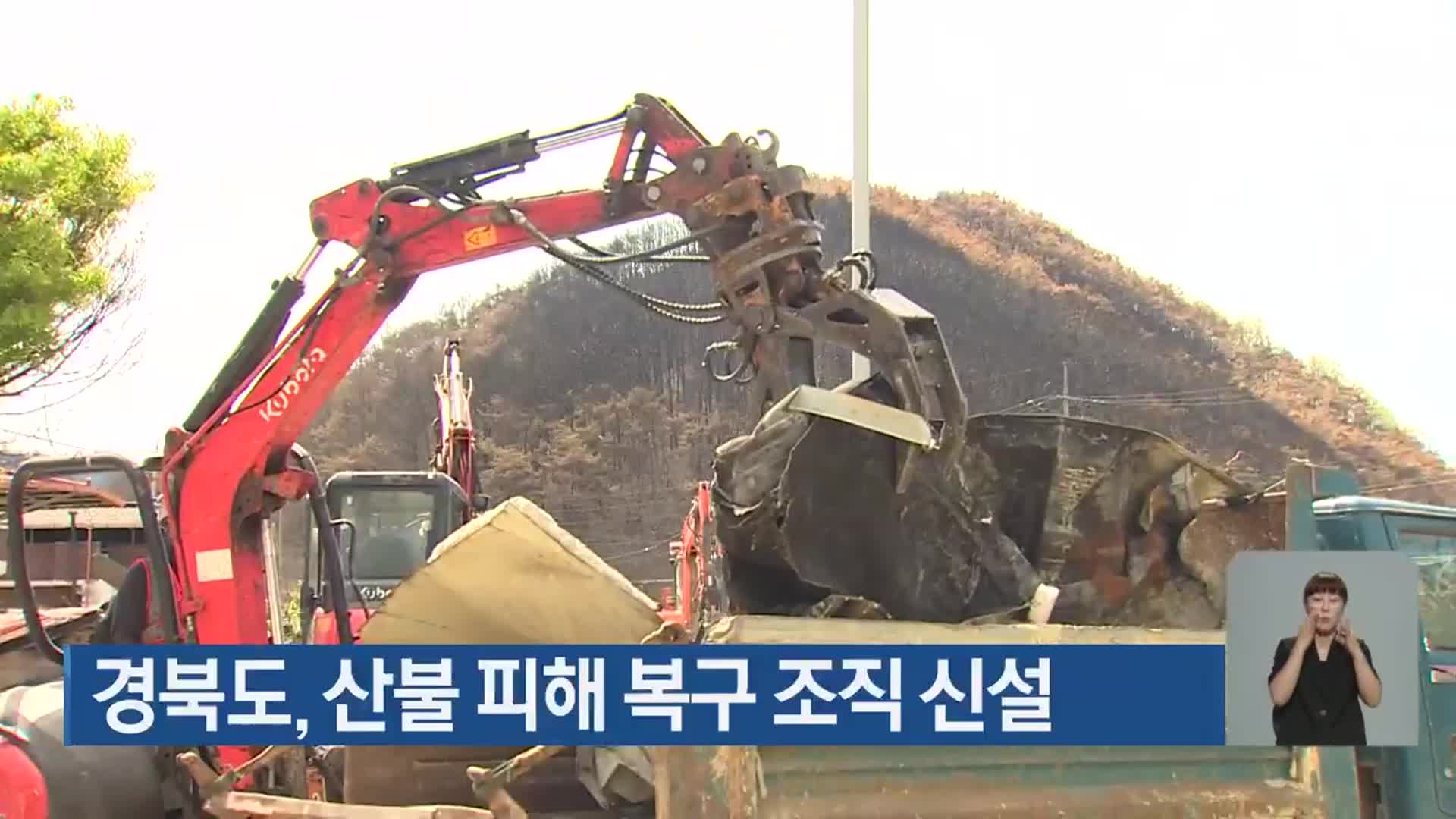 경북도, 산불 피해 복구 조직 신설