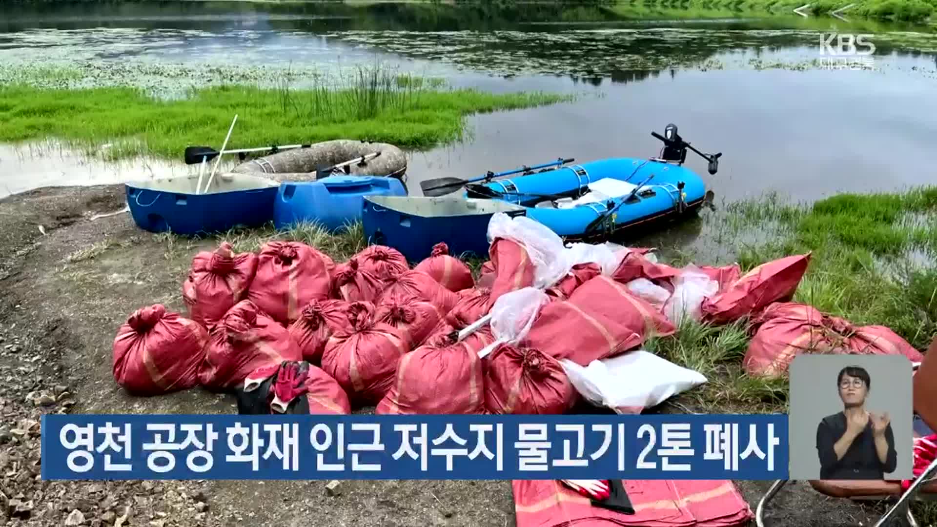 영천 공장 화재 인근 저수지 물고기 2톤 폐사