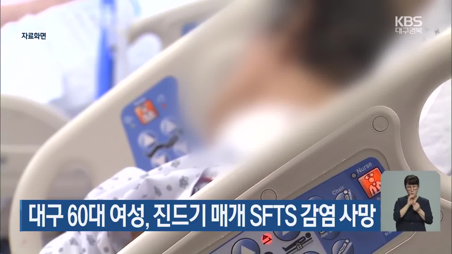 대구 60대 여성, 진드기 매개 SFTS 감염 사망