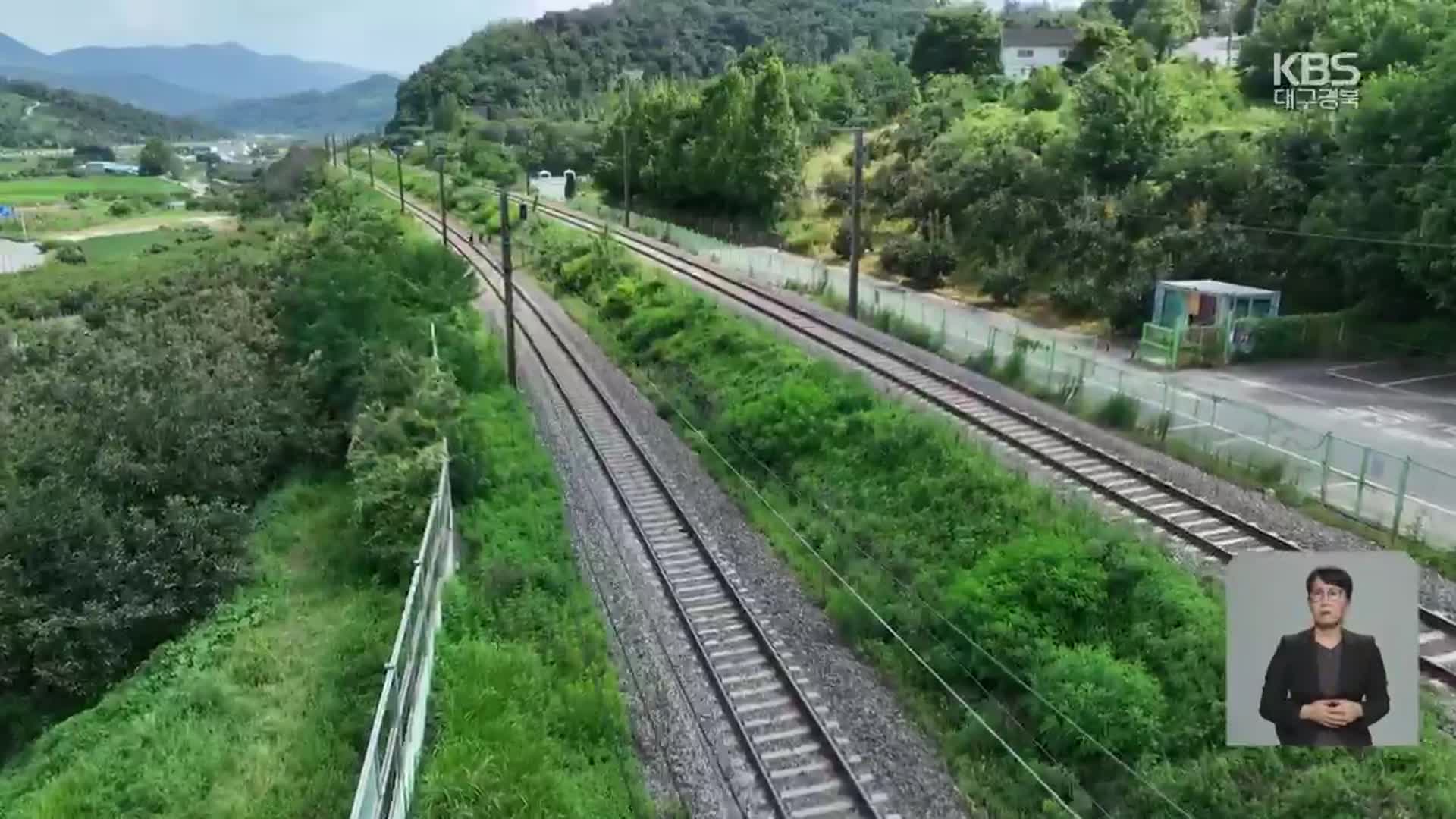 수풀 제거 매뉴얼 못 지켜…피할 곳 없었다