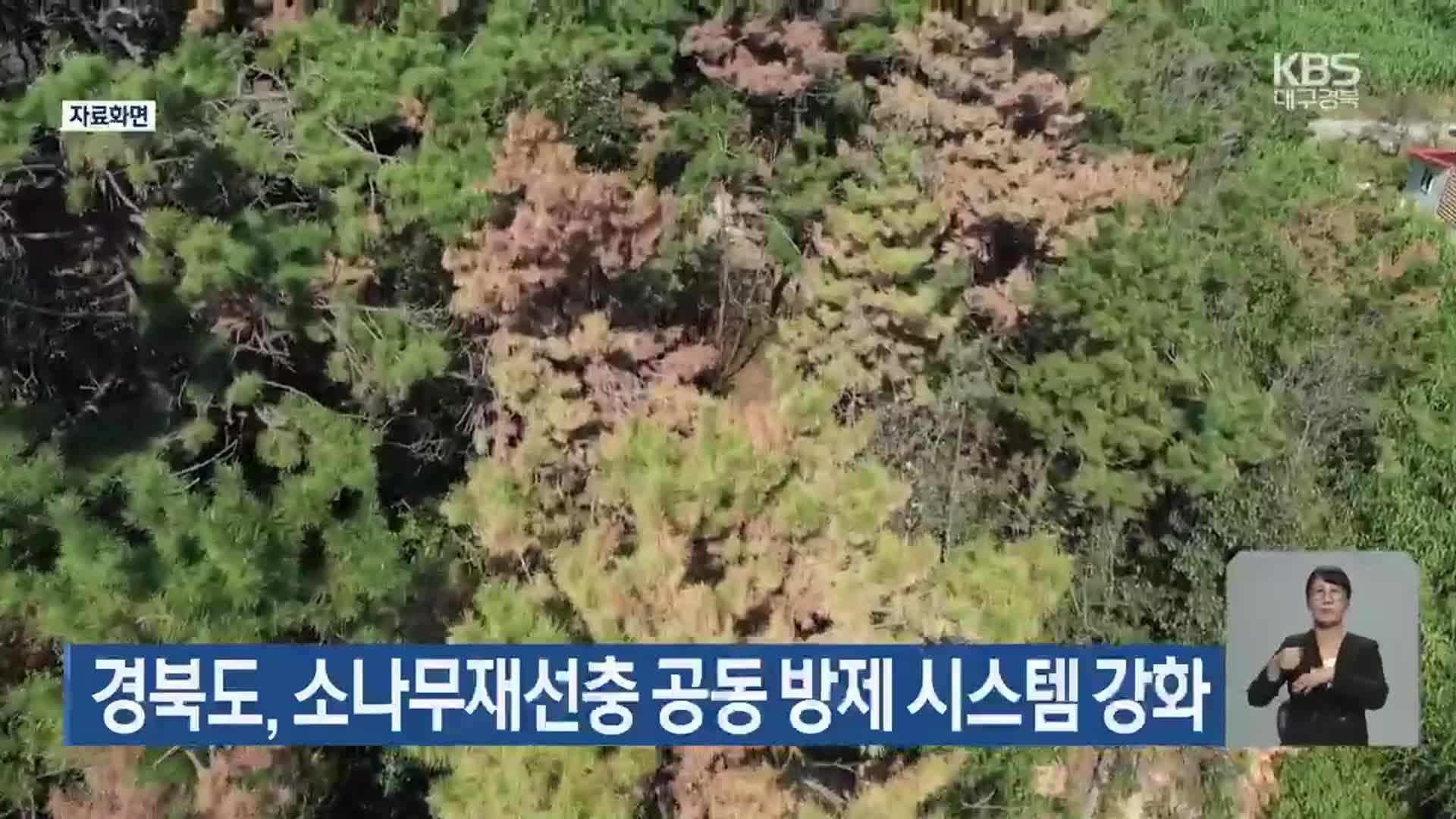 경북도, 소나무재선충 공동 방제 시스템 강화