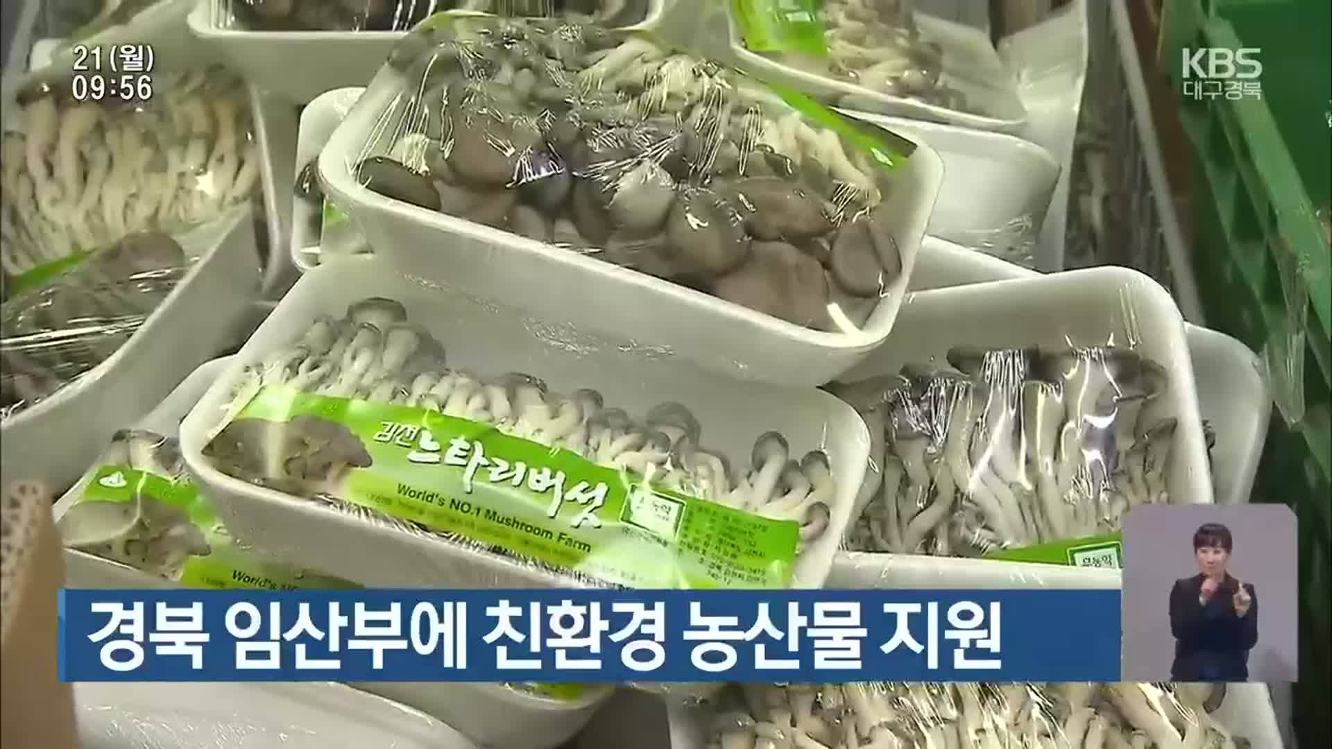 경북 임산부에 친환경 농산물 지원