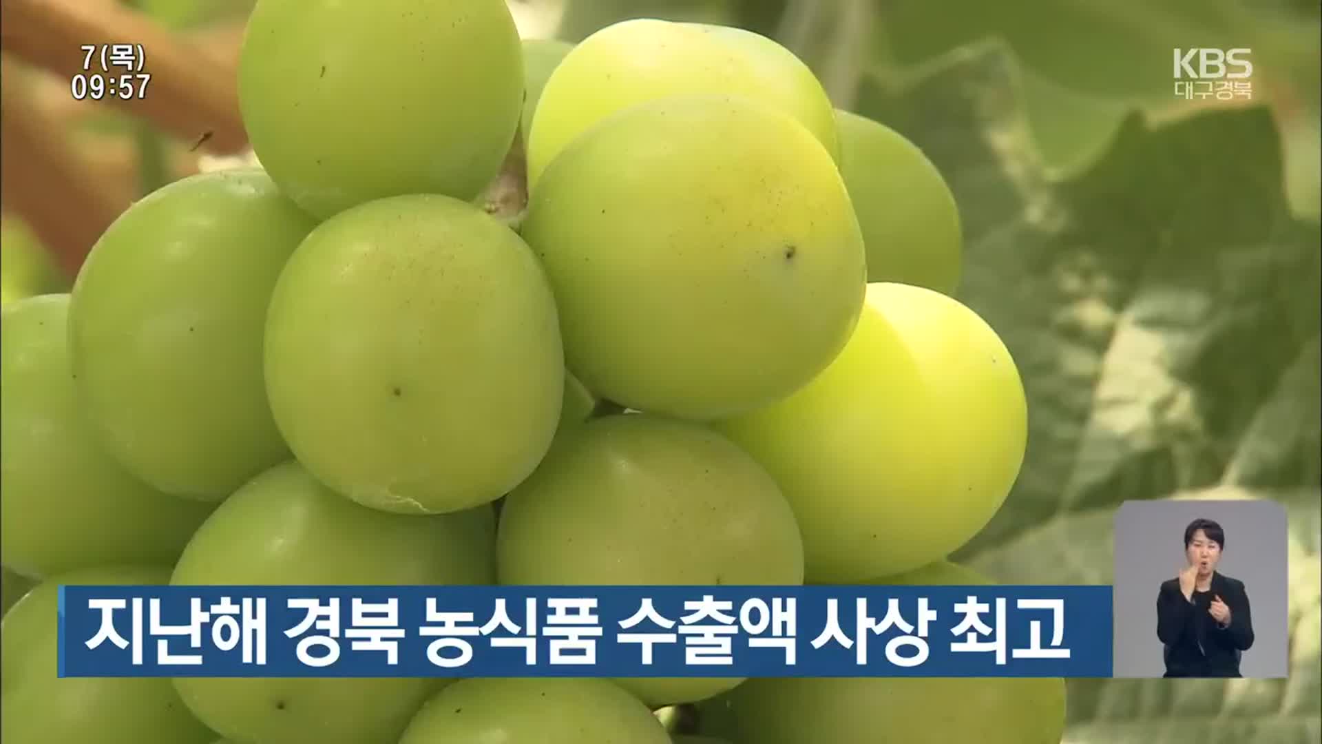 지난해 경북 농식품 수출액 사상 최고