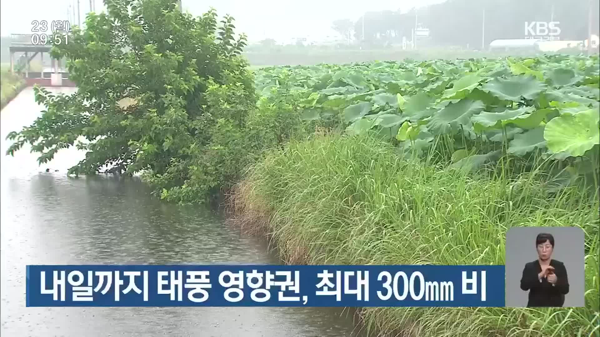 대구·경북 내일까지 태풍 영향권, 최대 300㎜ 비