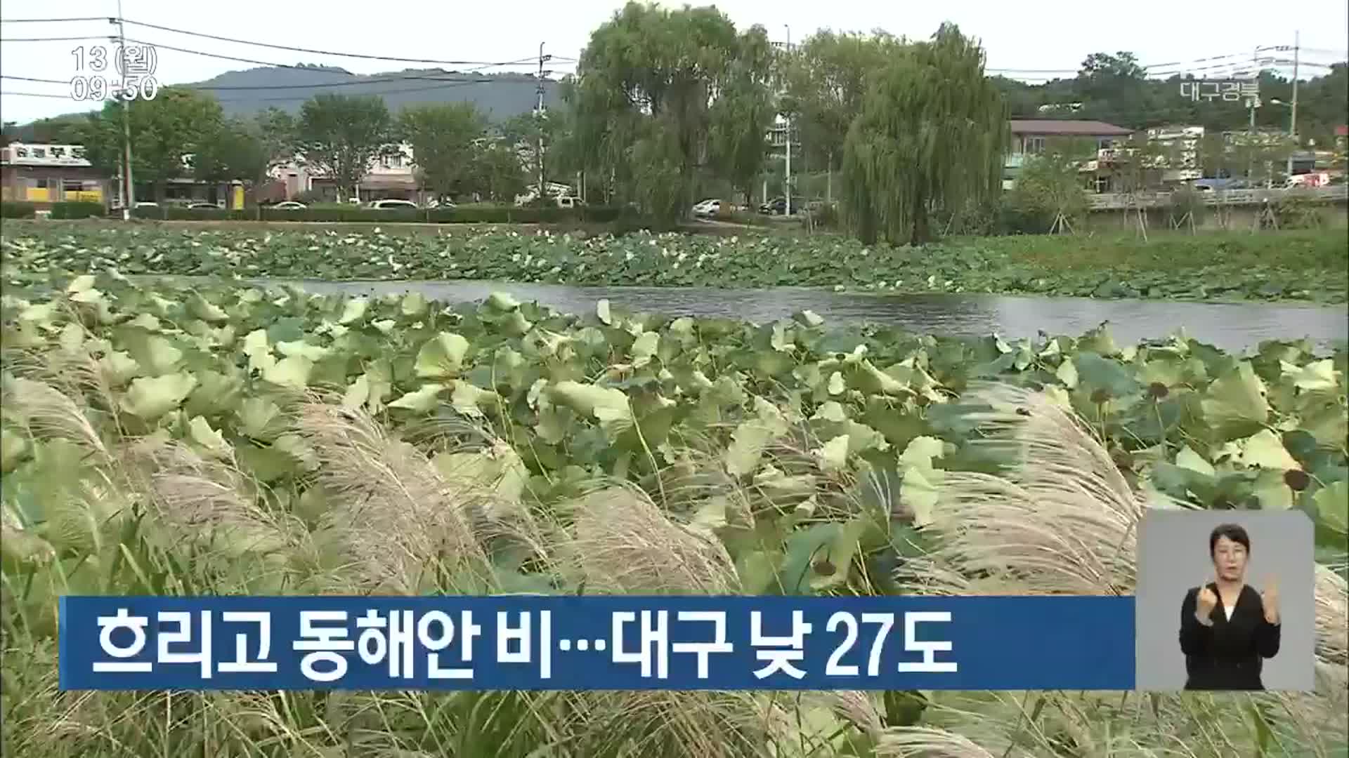 흐리고 동해안 비…대구 낮 27도