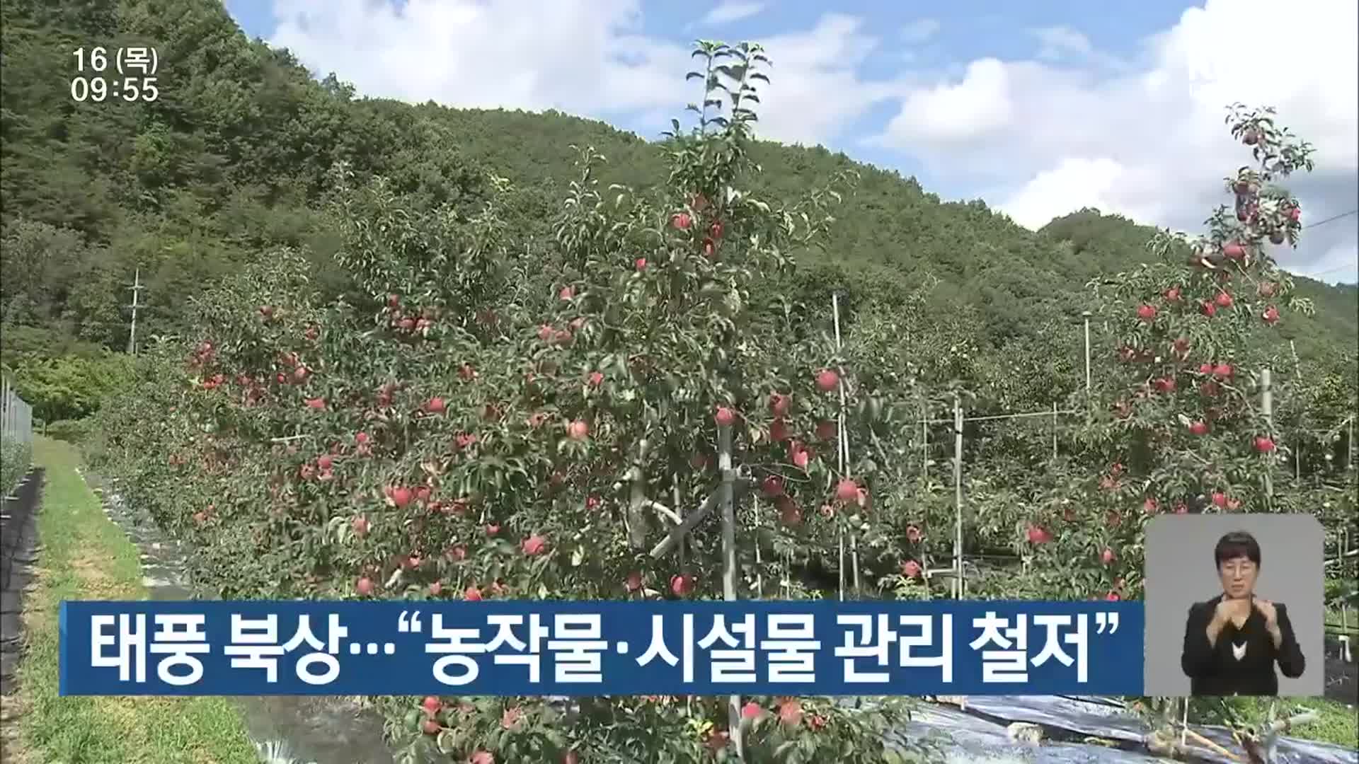 태풍 북상…“농작물·시설물 관리 철저”