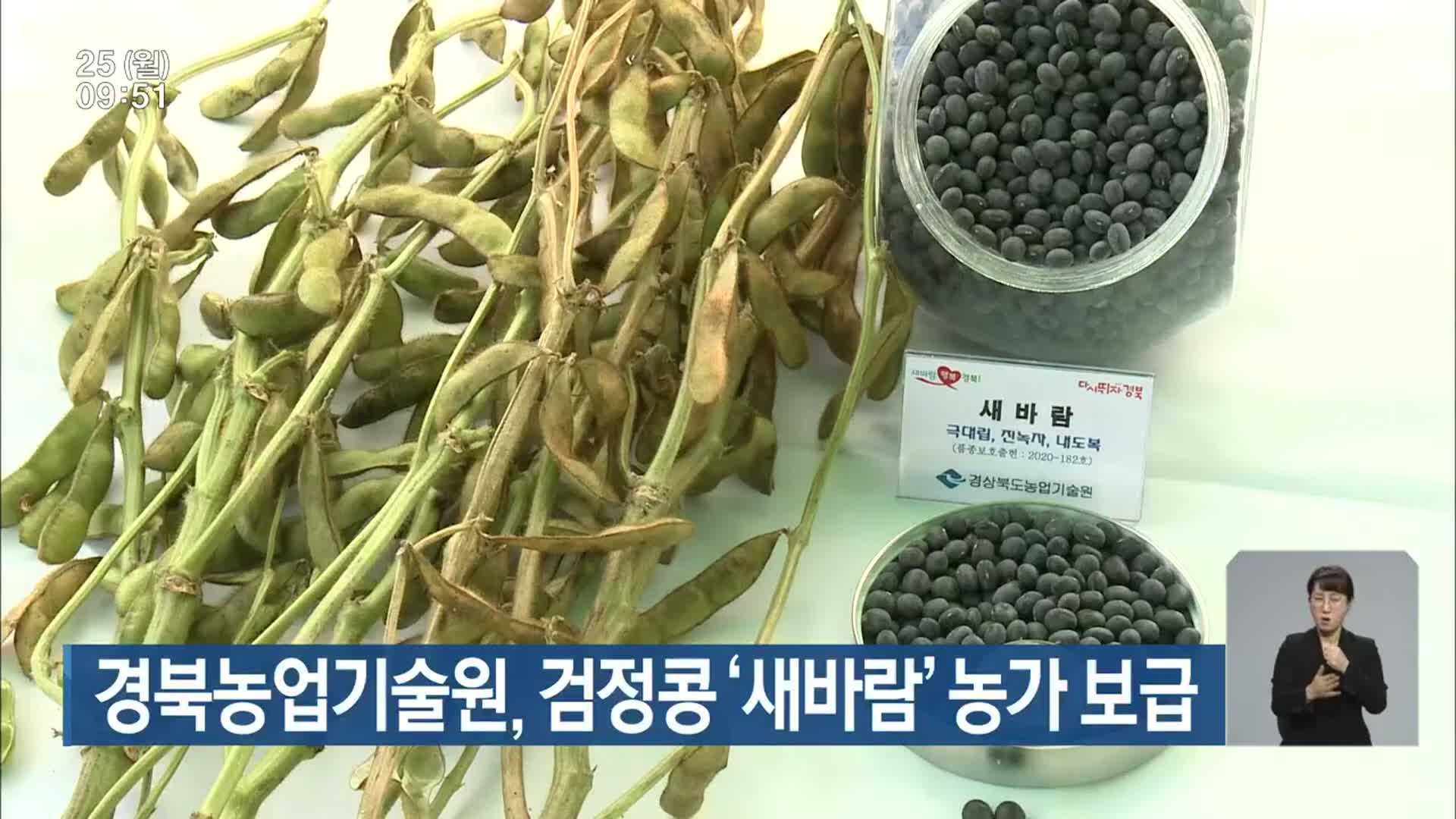 경북농업기술원, 검정콩 ‘새바람’ 농가 보급